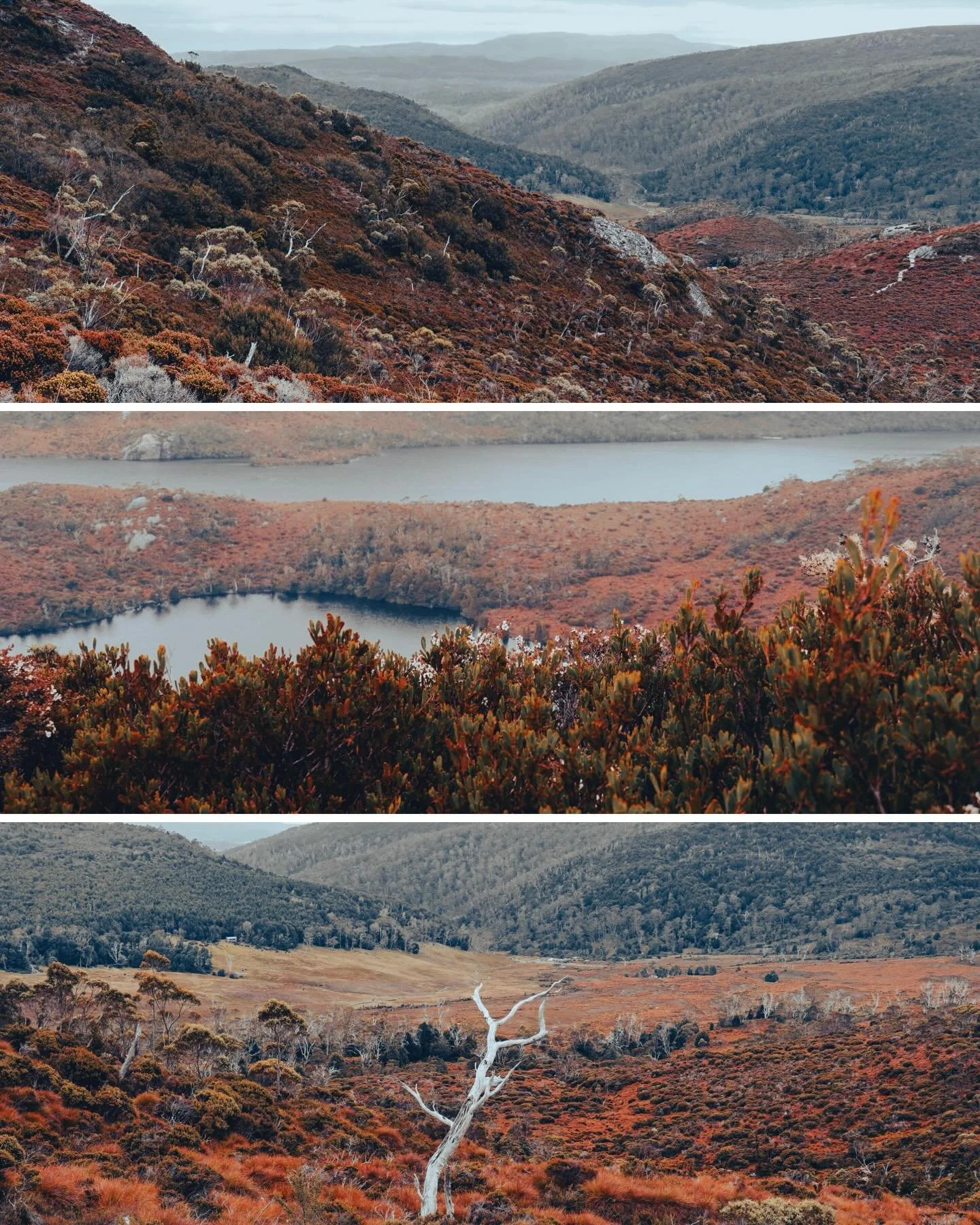 the most scenic hike in tassie&hellip;