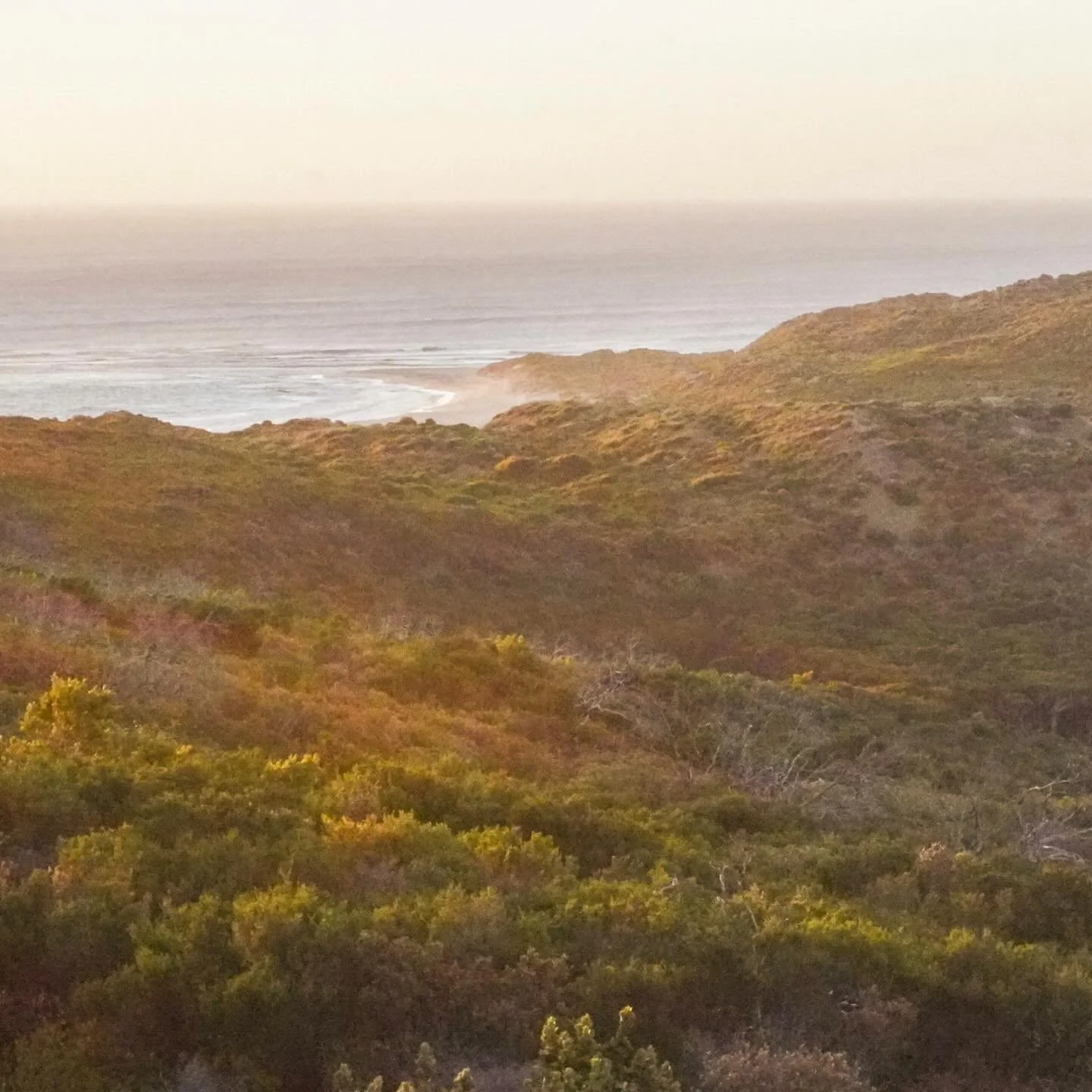 yellow mellow&hellip;