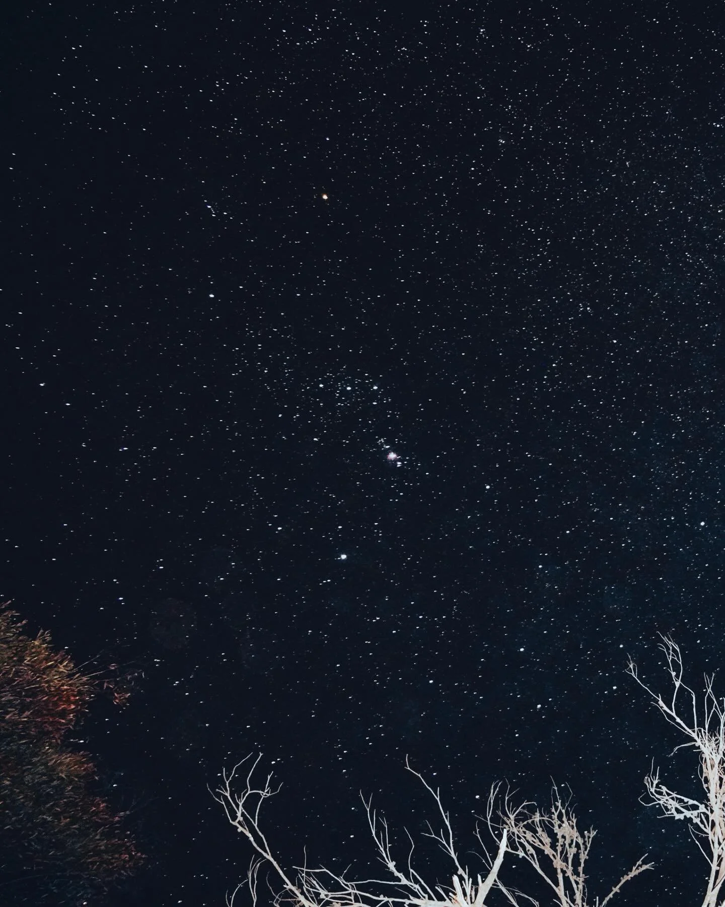 cosy corner / binalong bay 🧡