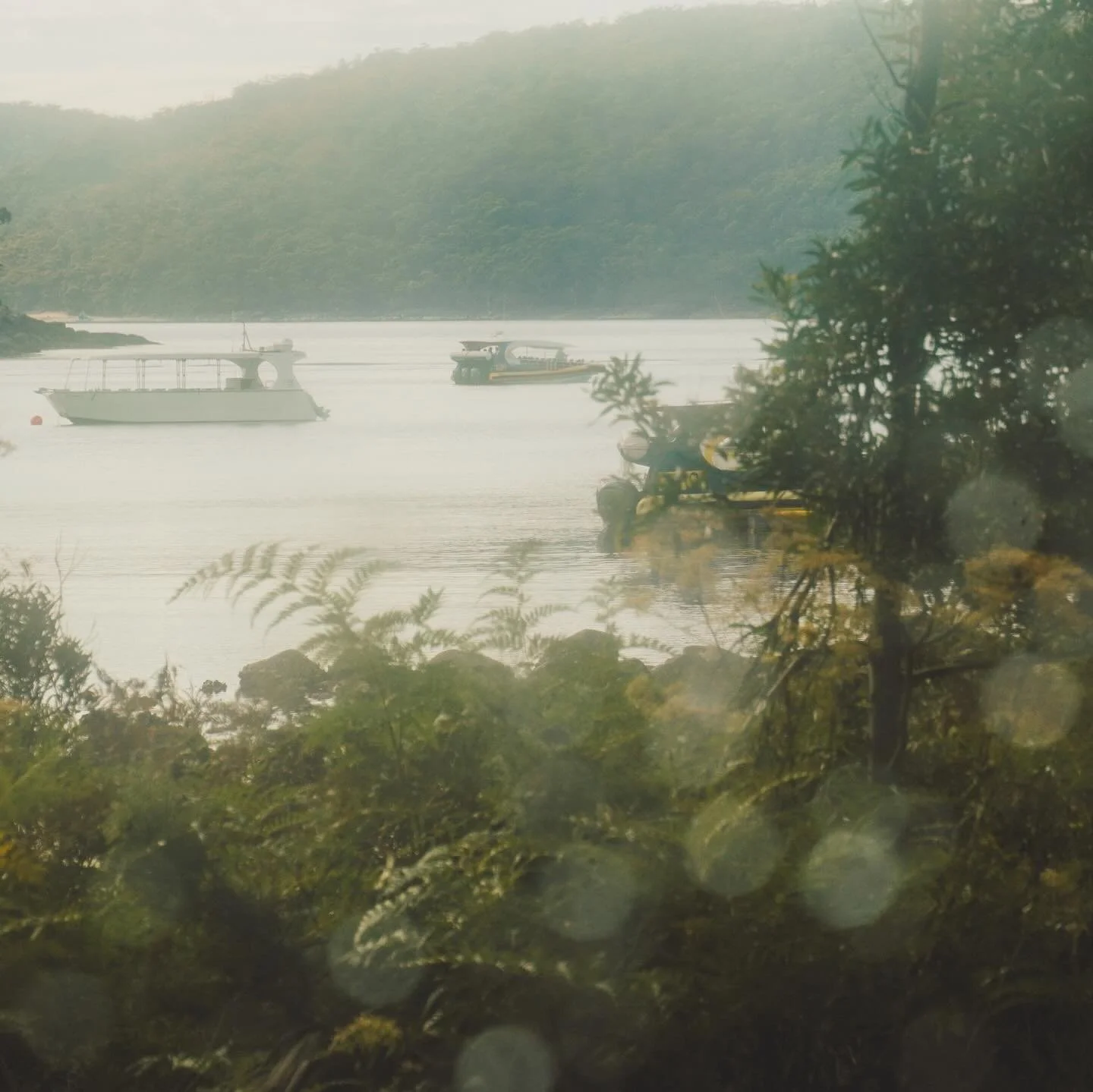 coles bay / port arthur