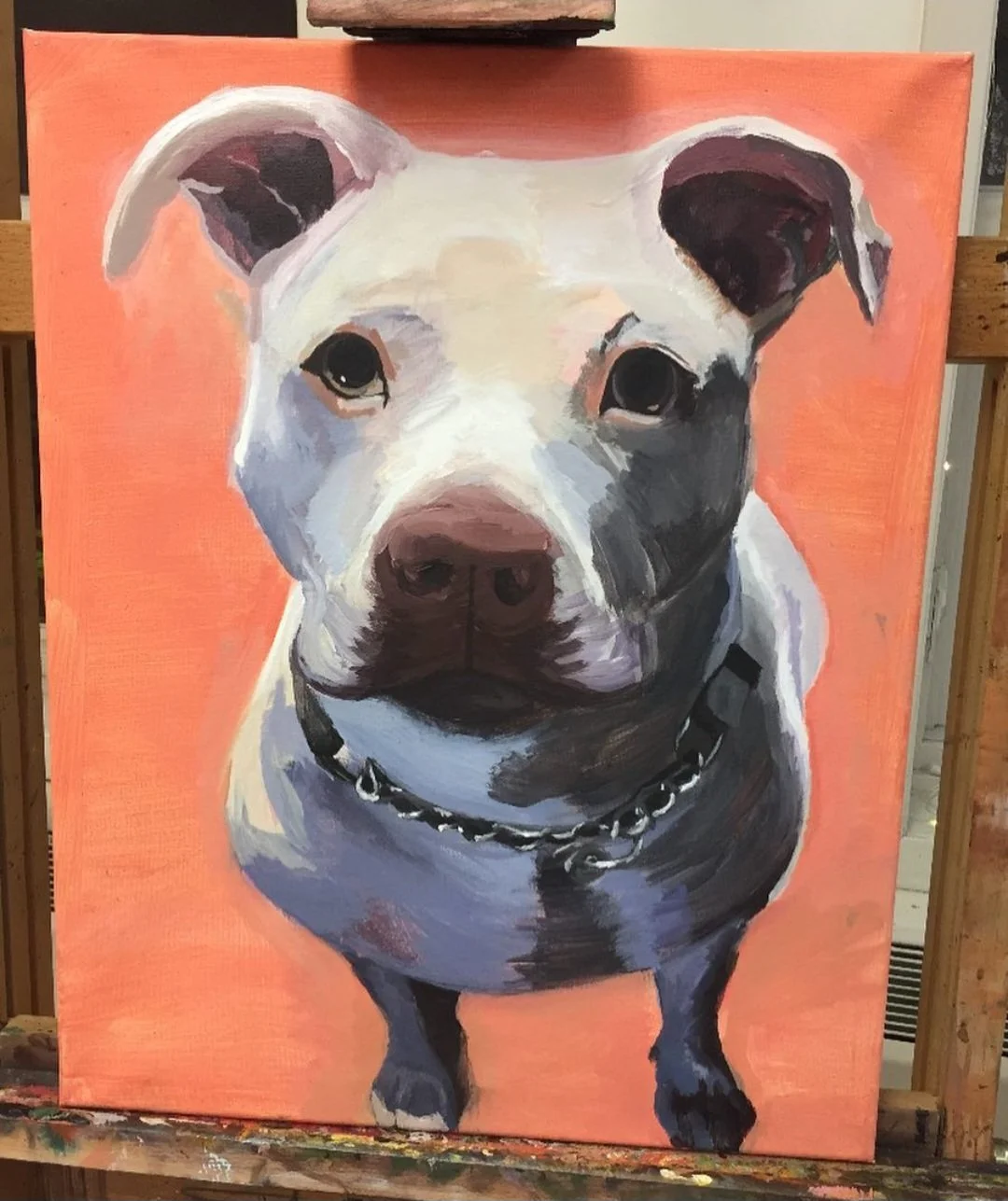 A portrait of a white dog with black markings on its face and body, wearing a chain collar, against a peach-colored background.