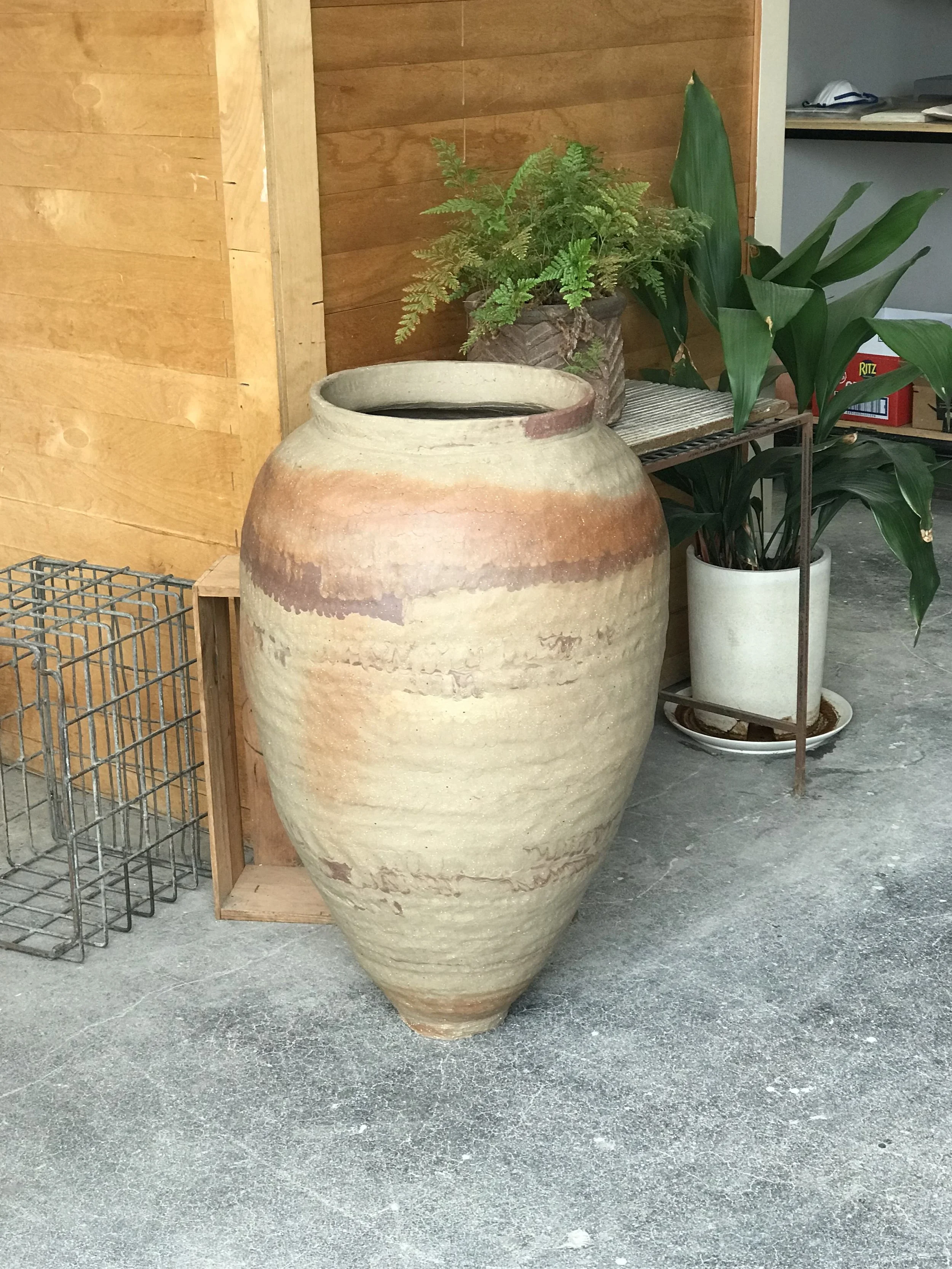 Large beige and brown ceramic qvevri placed on concrete floor next to potted plants and a wire basket, with a wooden wall background.