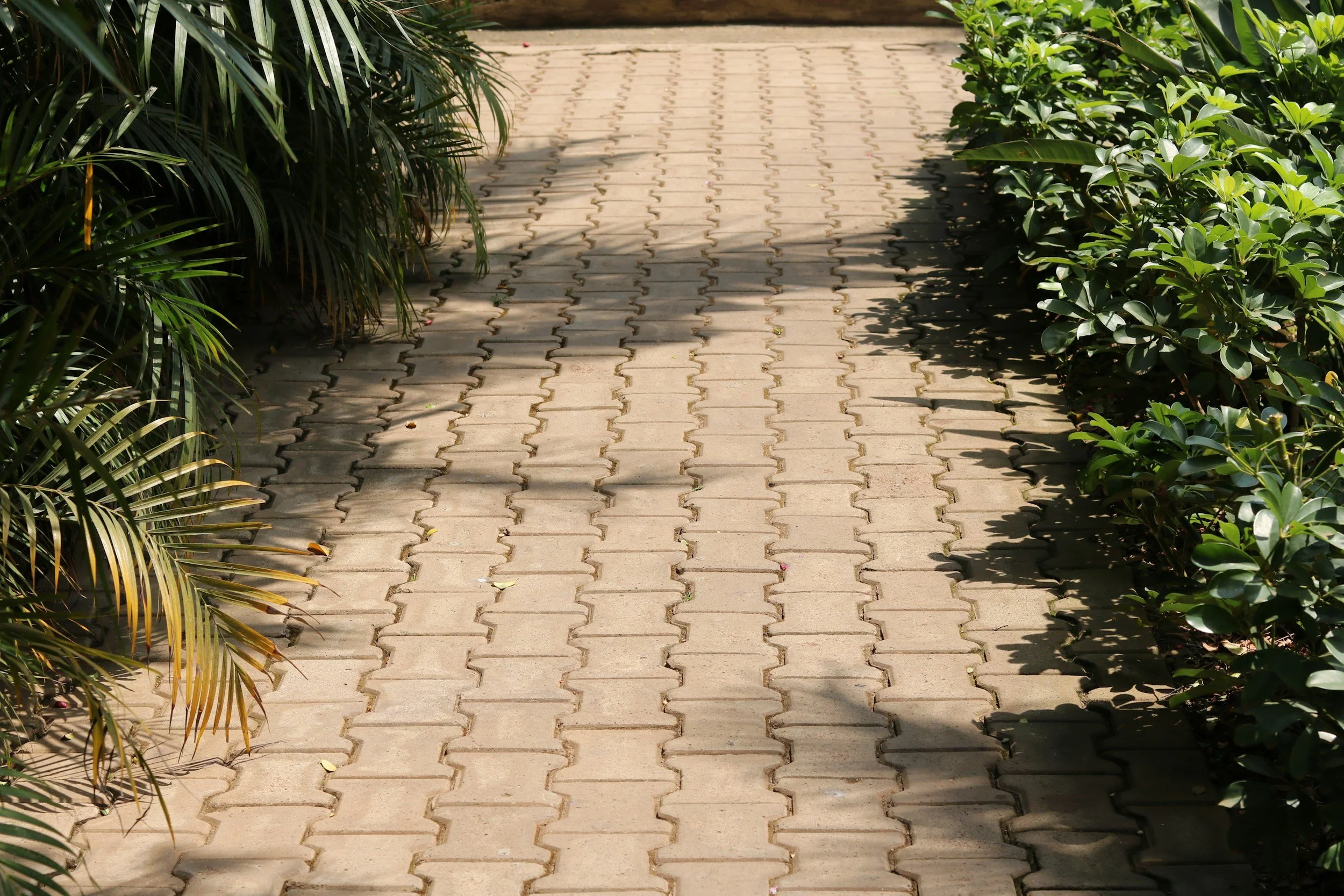 A paved walkway flanked by green bushes and plants on both sides, with shadows cast across the bricks.