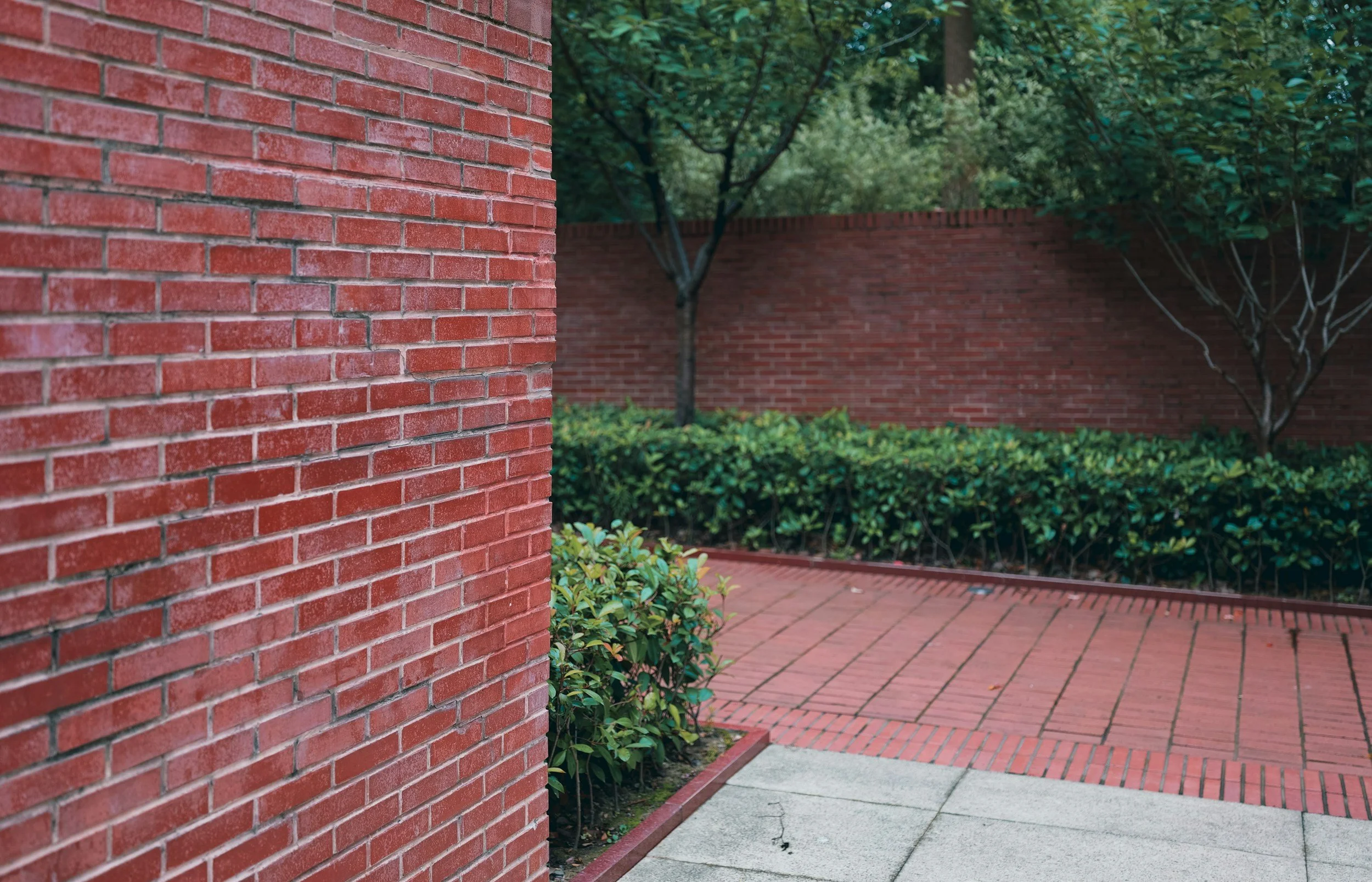 A recently professionally pressure cleaned brick wall with professionally cleaned pavers.