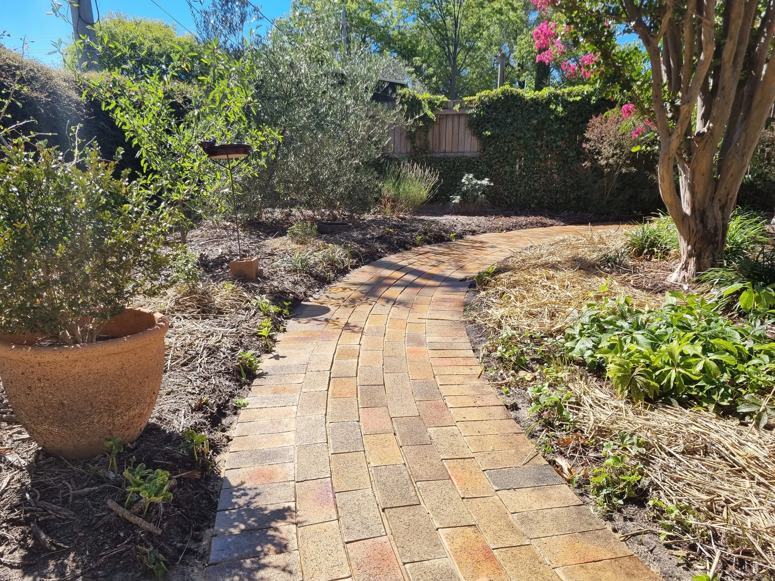 Cleaning pavers in canberra to look like they are brand new