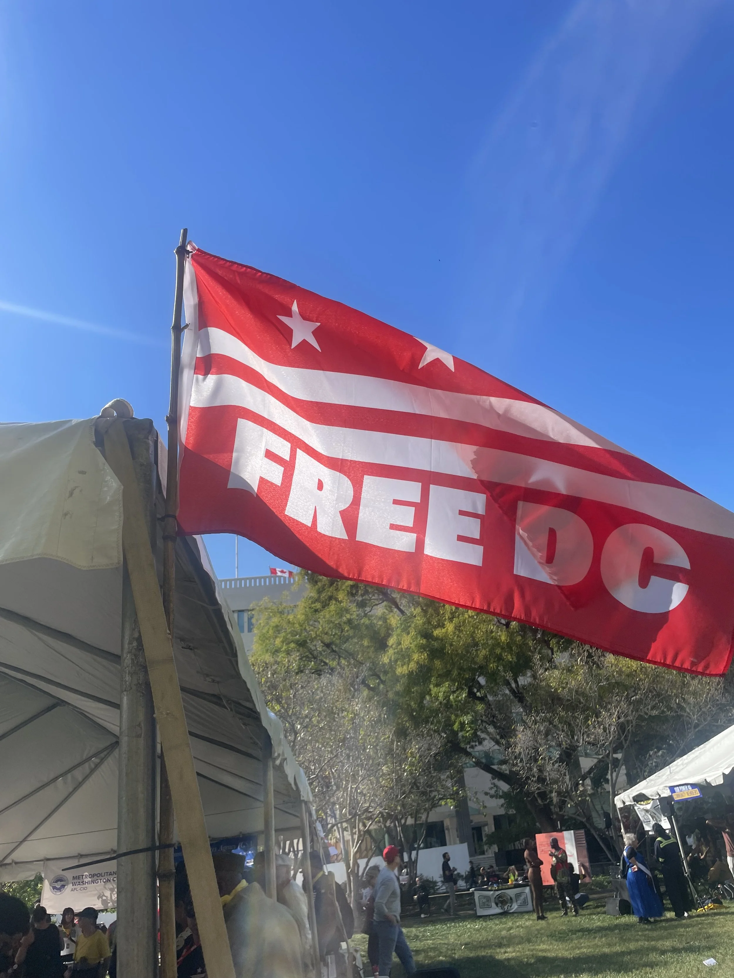 Free DC Flag flying in the wind
