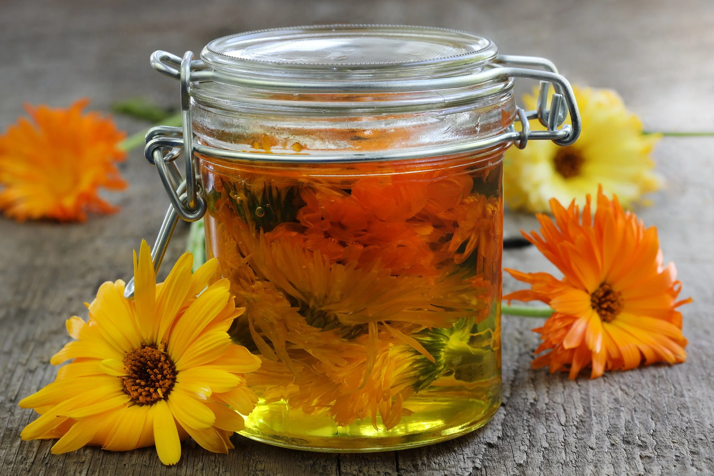 The Gentle Power of Calendula