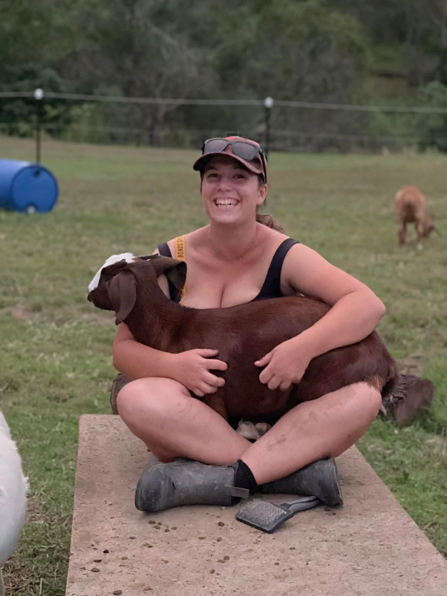 Caring for a goat at Migasoka Farm, sharing a quiet moment together in Queensland