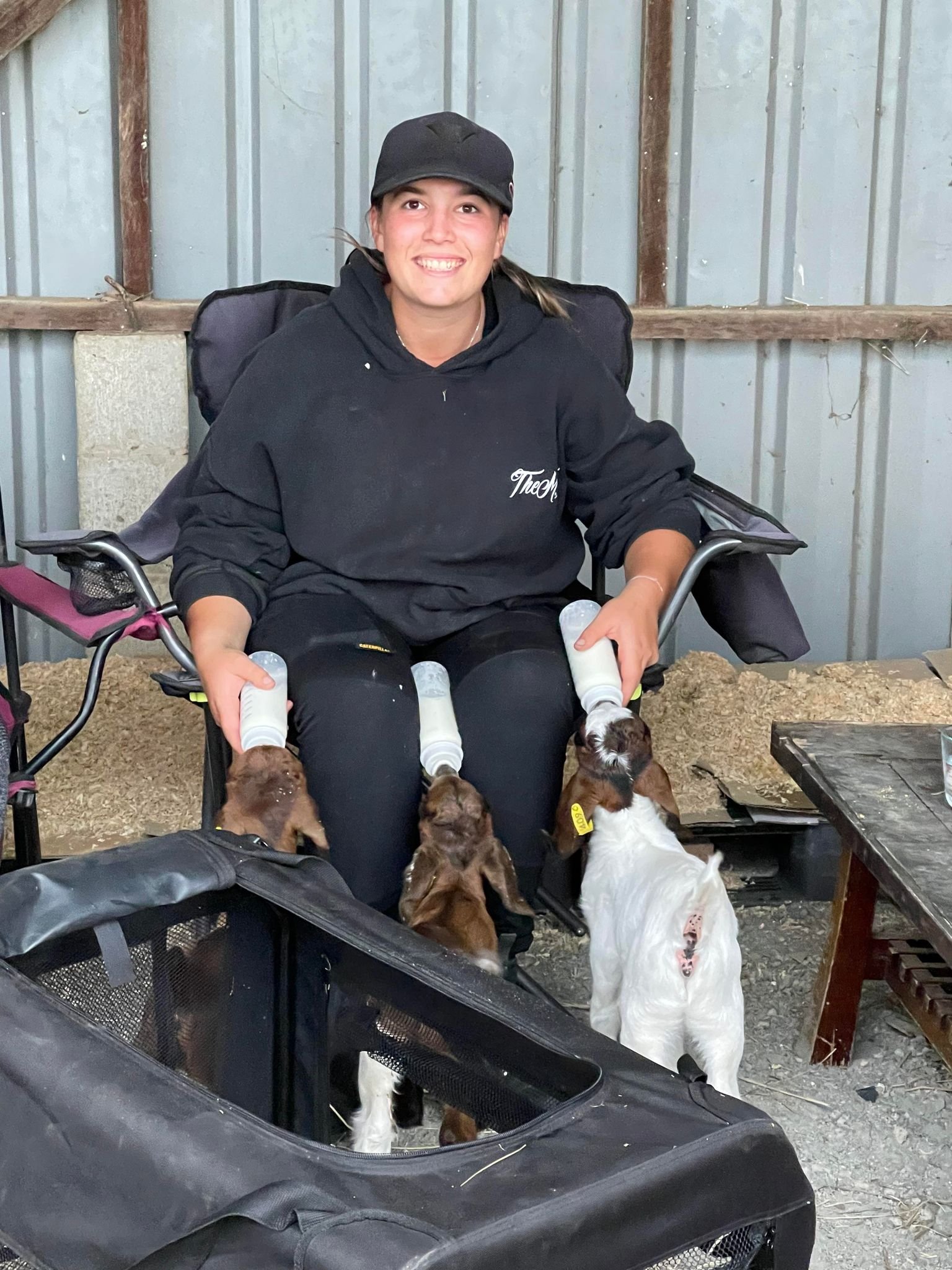 Feeding baby goats at Migasoka Farm, caring for young animals by hand in Queensland