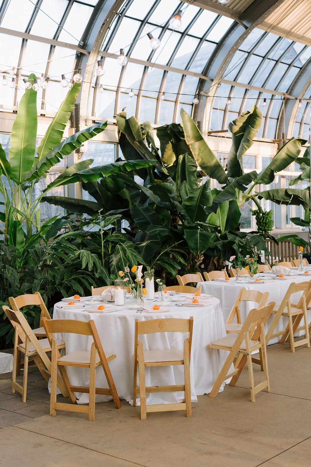 Indoor event space with a round table set for a meal, decorated with vases of flowers, and surrounded by wooden chairs. Behind the table are large green plants and a glass-domed ceiling with hanging string lights.