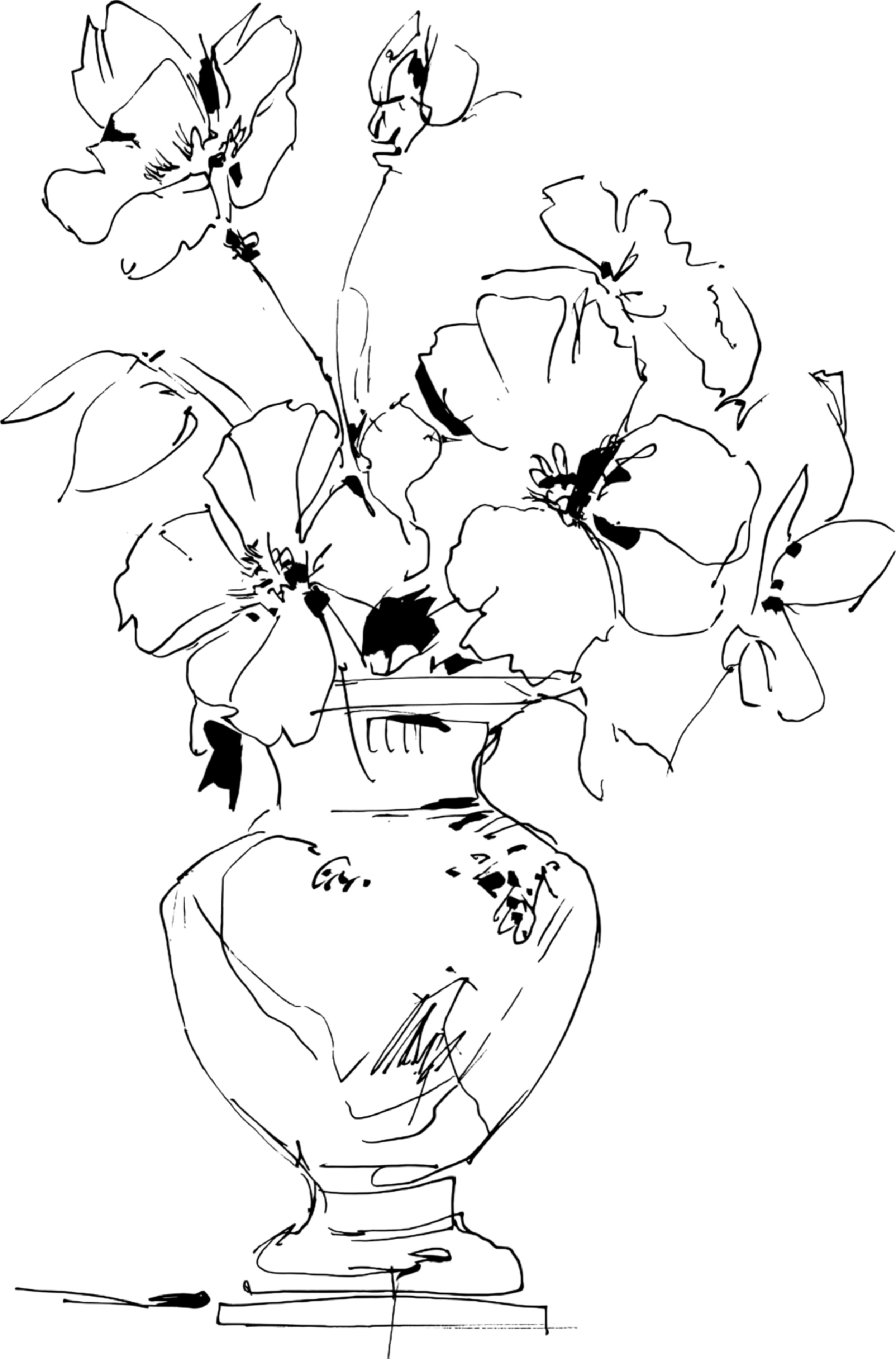 A black and white line drawing of a potted plant with large, broad leaves and a flower, placed on a pedestal or table.