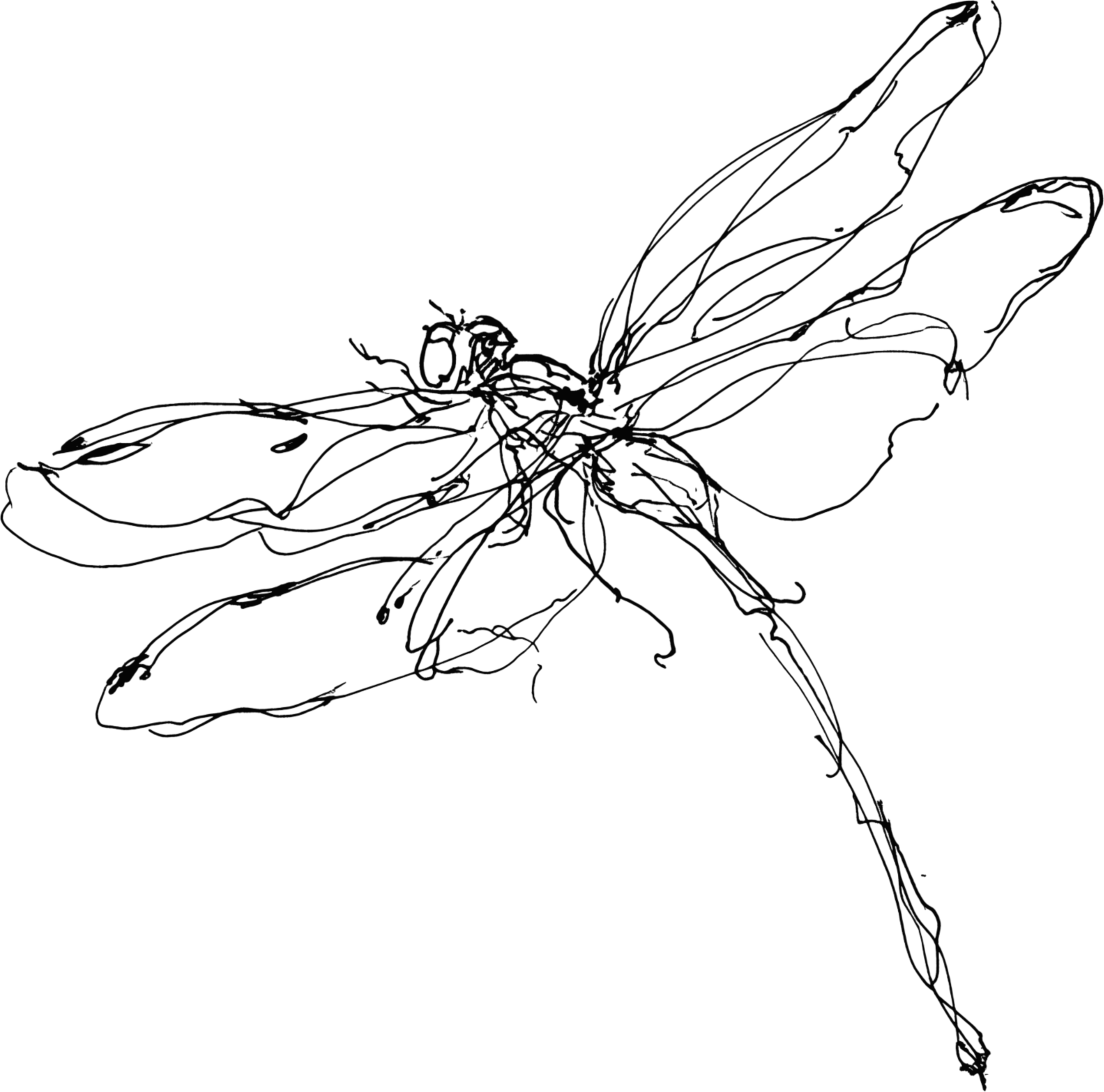 A black and white line drawing of a rose flower.