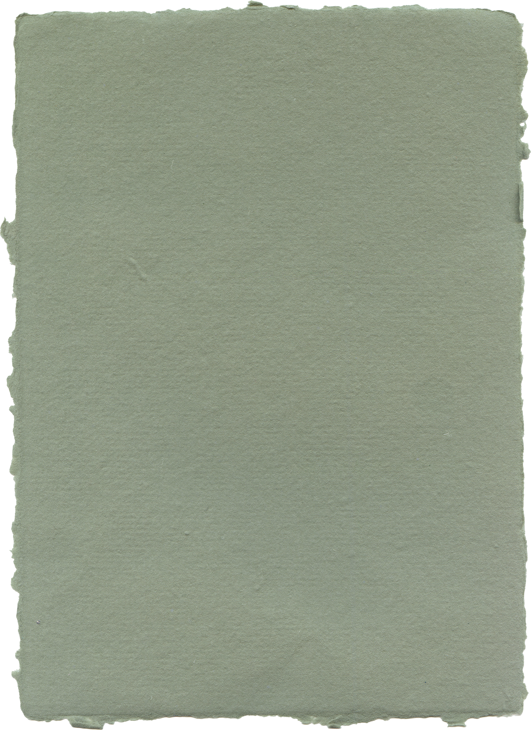 A blank greenish piece of paper with torn edges.