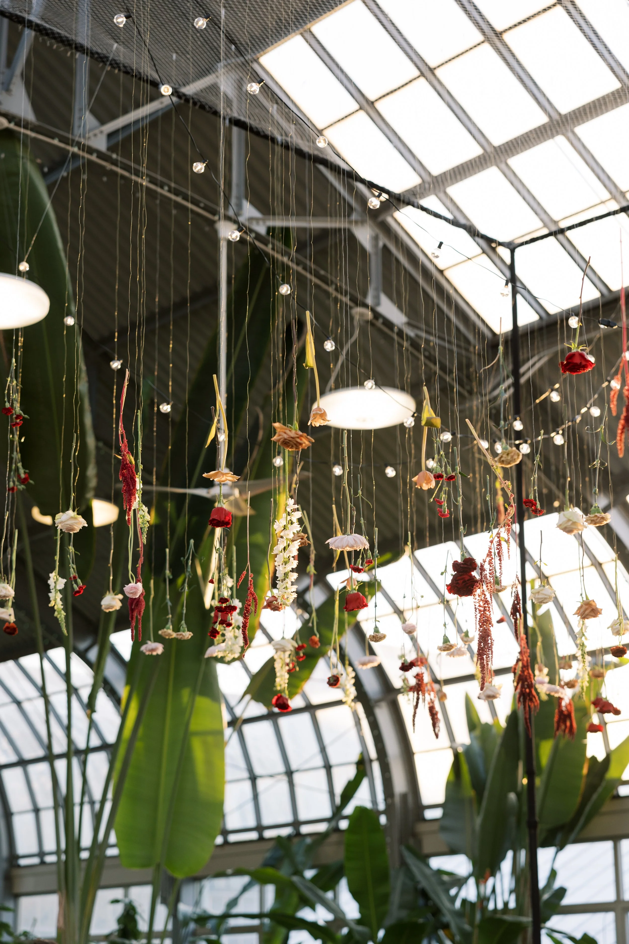 Inside a greenhouse with hanging flower decorations and large green plants, with sunlight coming through the roof.