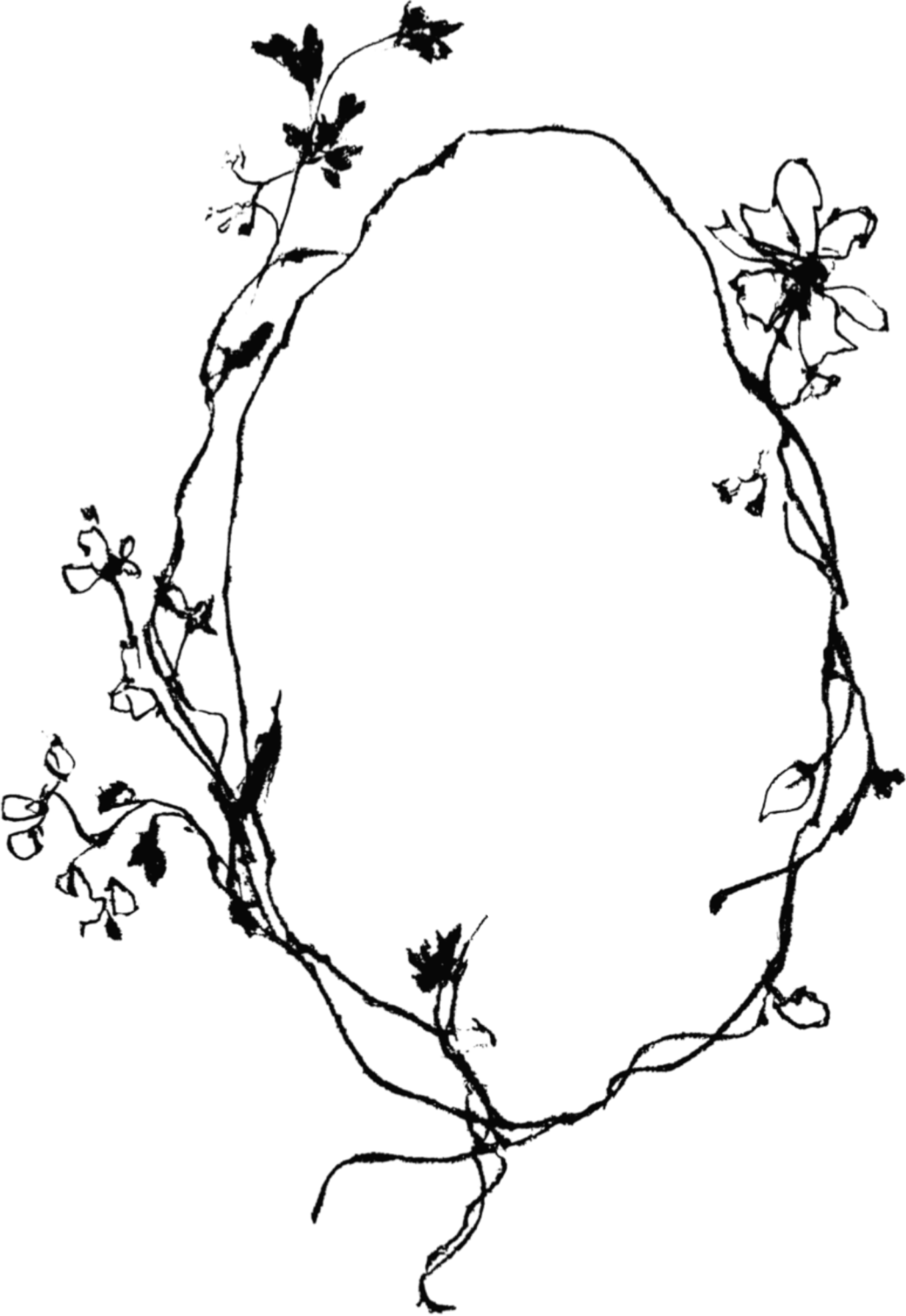 Black and white outline drawing of a flowering plant with multiple branches, flowers, and leaves.