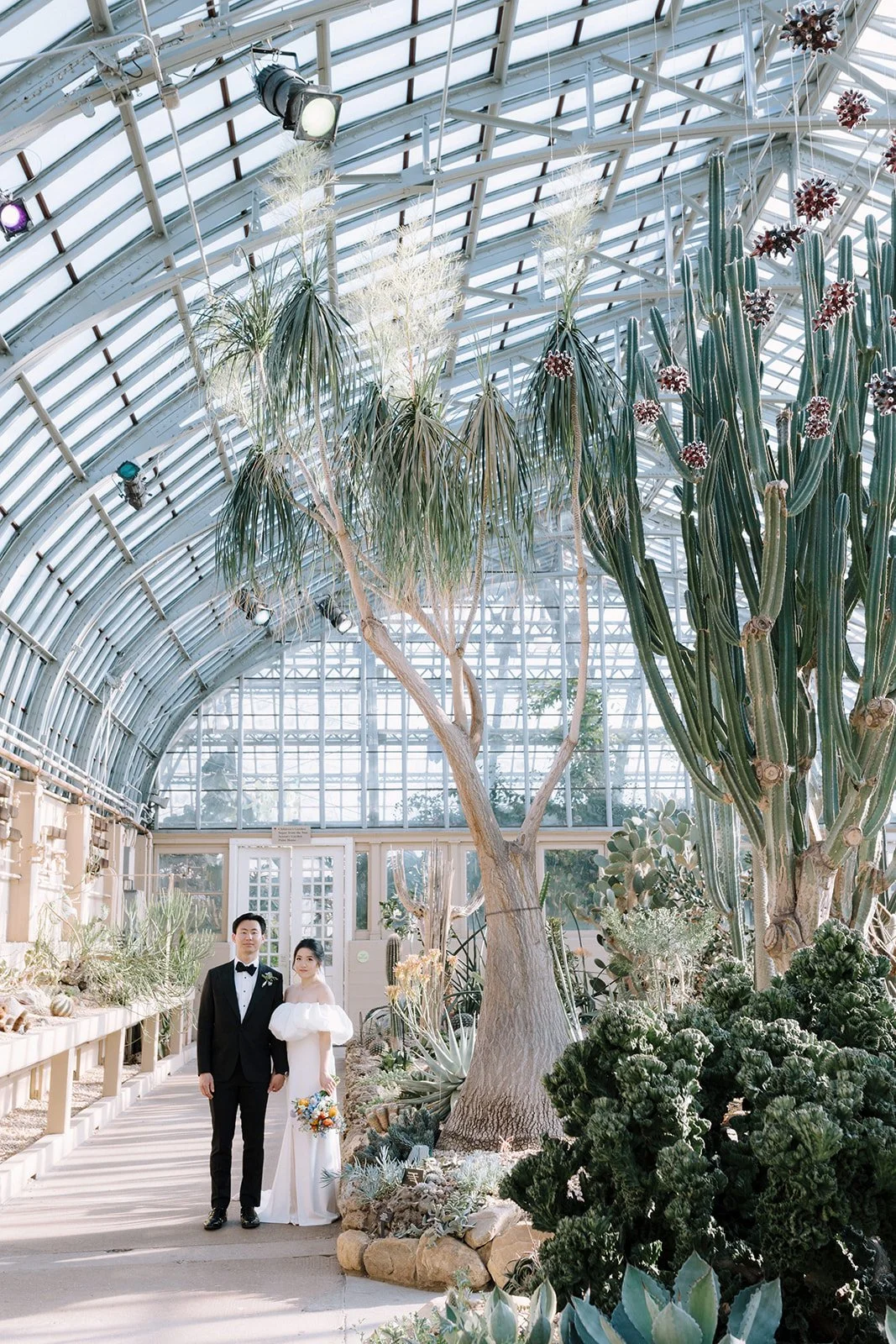 A bride and groom standing inside a large glass conservatory with various cacti and desert plants around them.