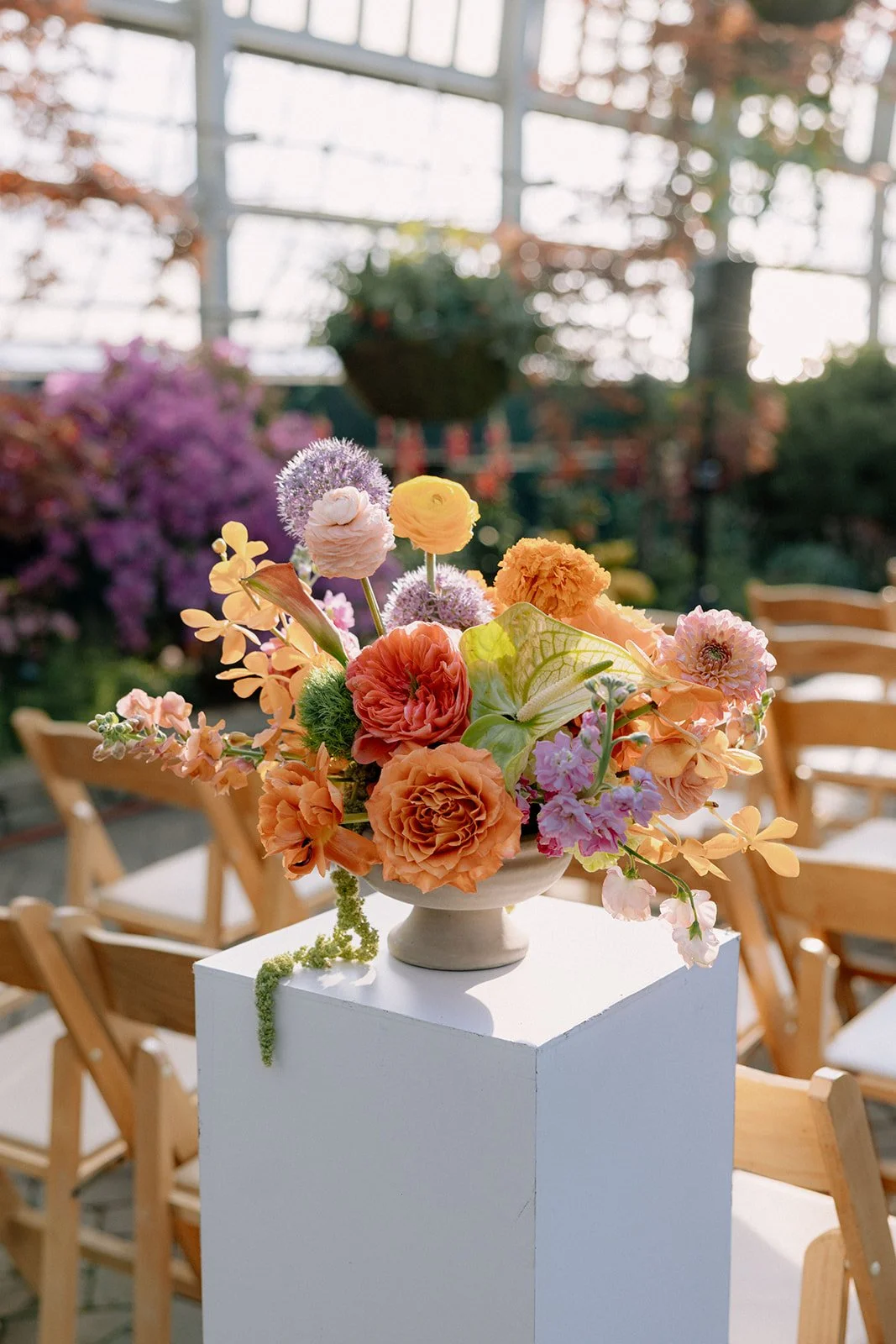 Colorful flower arrangement in a white vase on a pedestal with wooden chairs in the background, inside a greenhouse with natural light.