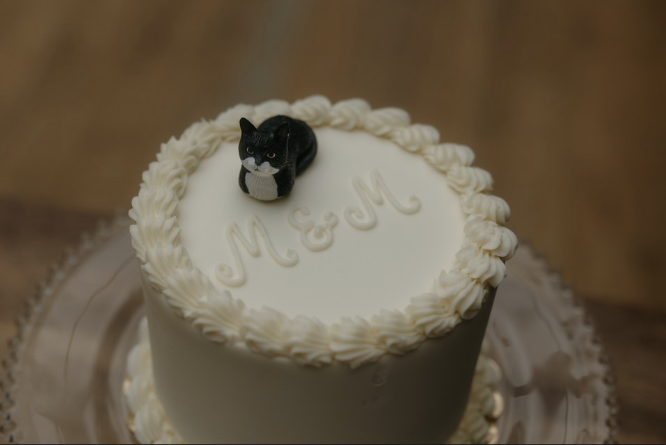 White cake with cream border and a small black cat figurine on top, with the words 'M & M' written on it.