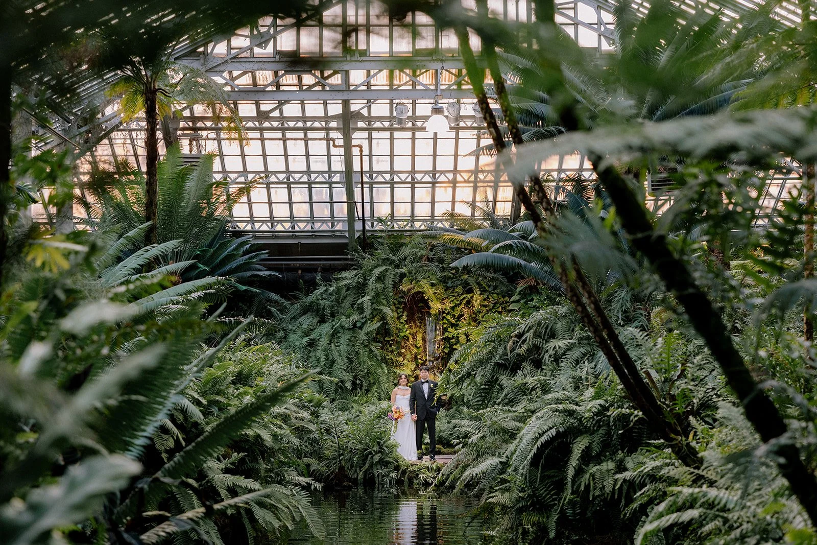 A bride and groom in wedding attire standing amidst lush greenery and ferns inside a greenhouse or botanical garden with glass roof panels and sunlight filtering through.