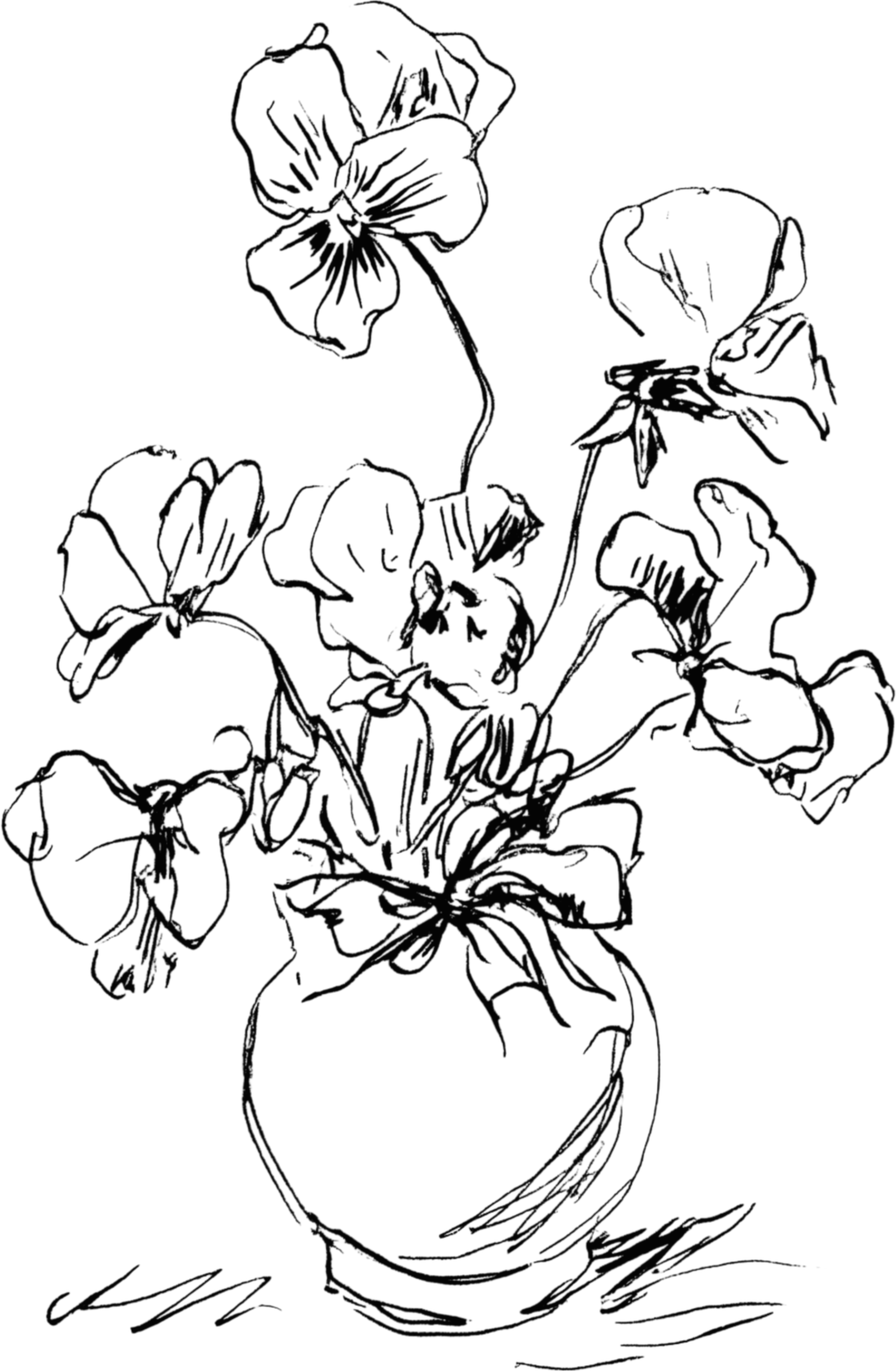 Line drawing of a potted plant with large, vibrant flowers and leaves.