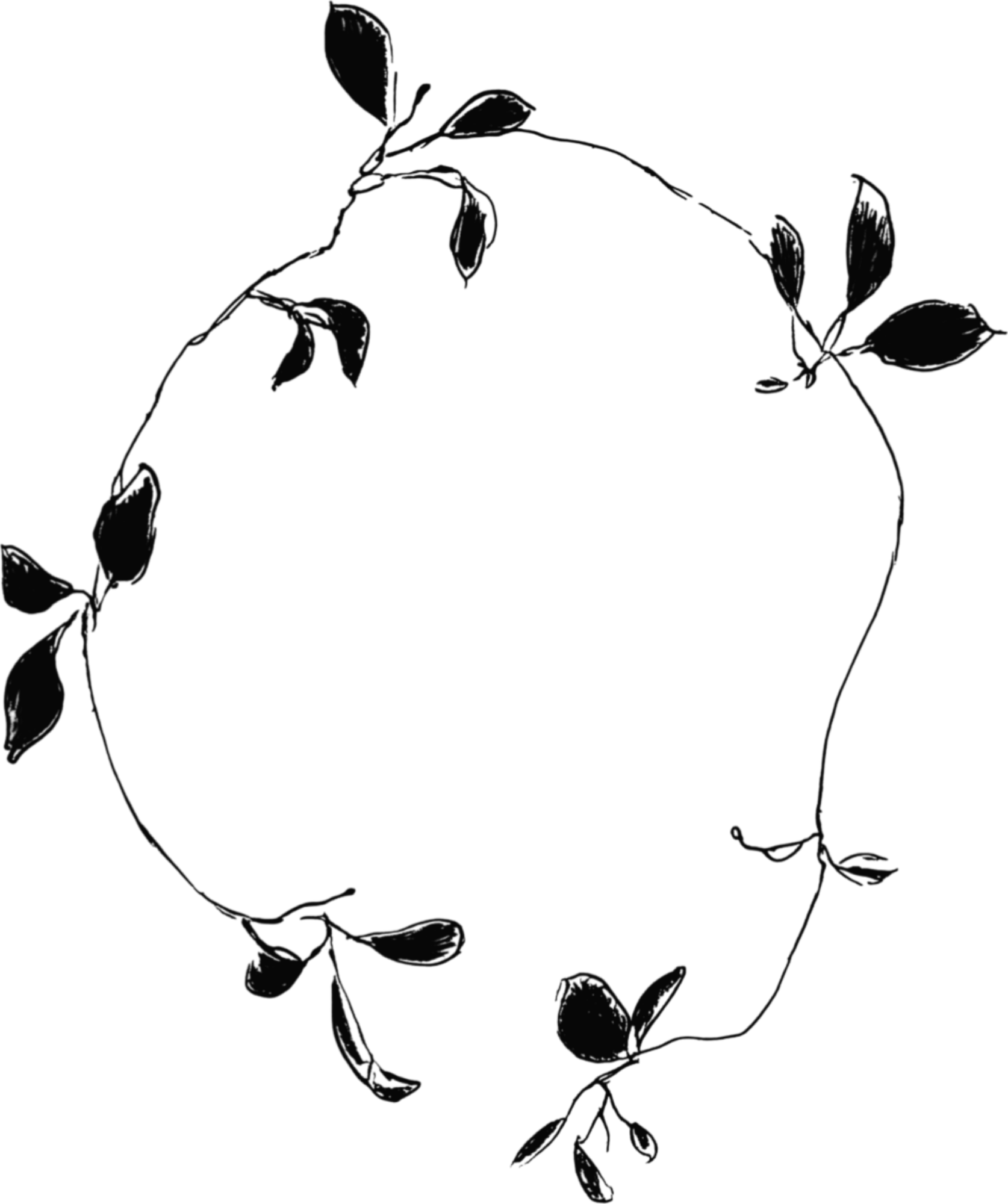 A line drawing of a rose with detailed petals and leaves on a black background.