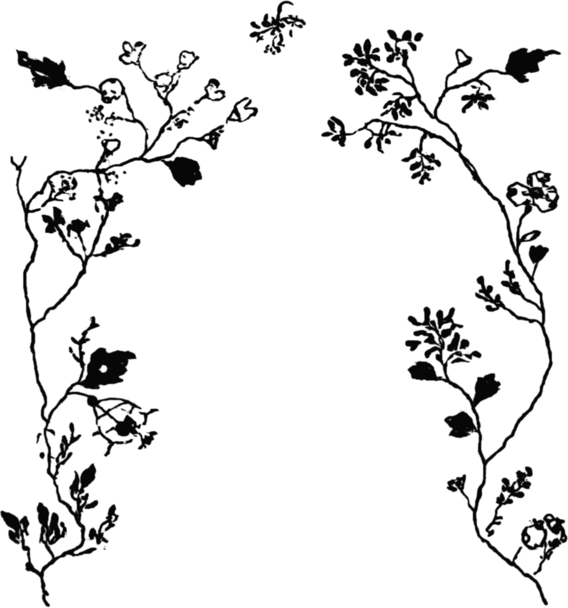A detailed, black silhouette of a tree branch with small flowers or leaves against a white background.