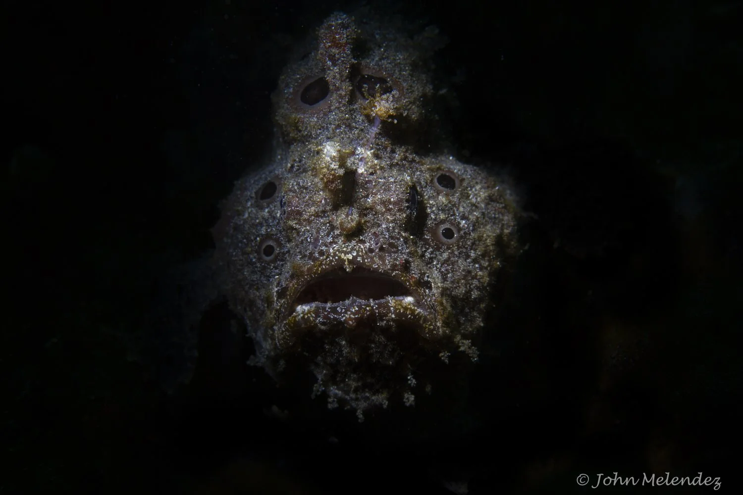 John Melendez-13.JPG