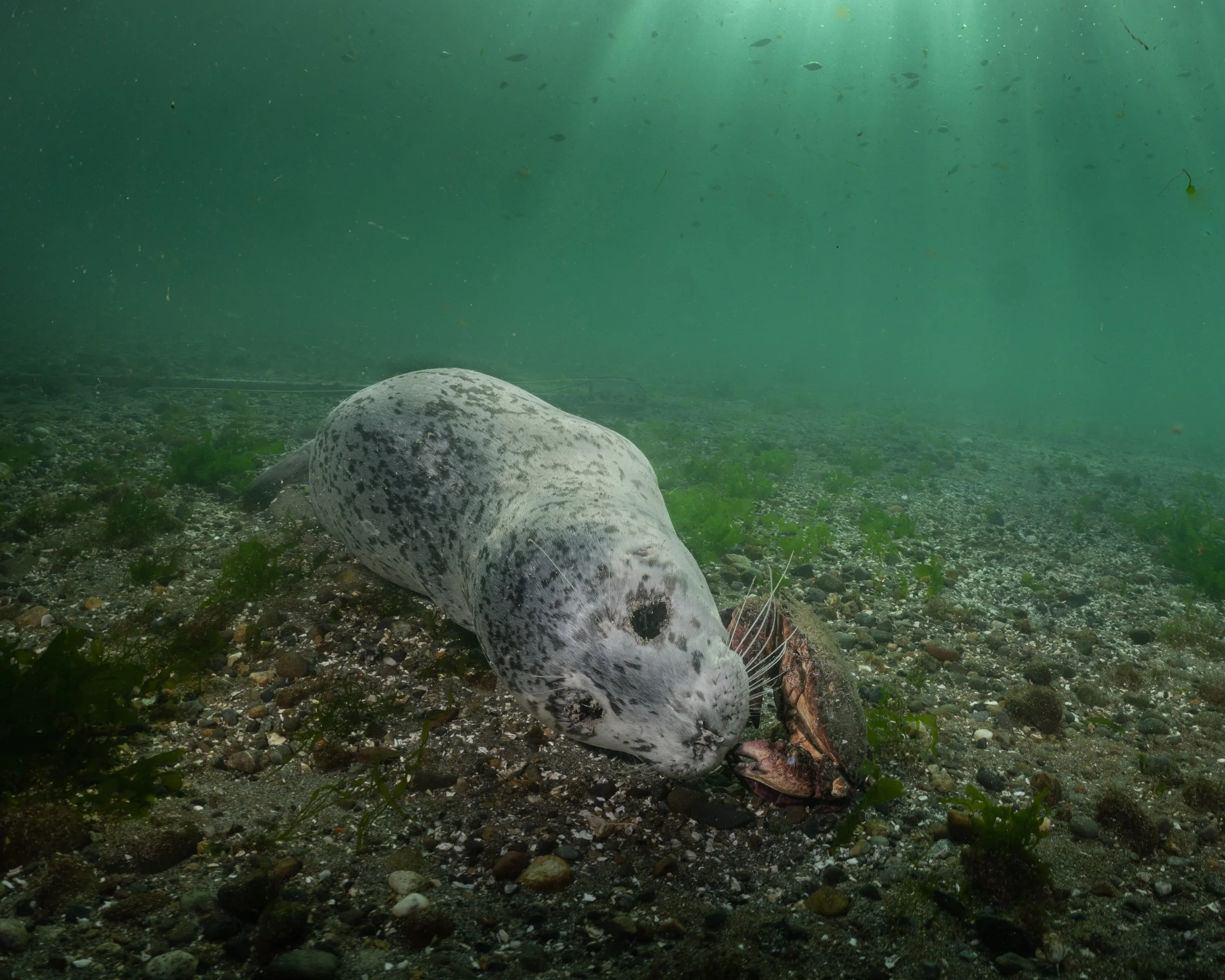 Nothing Wasted - Melendez_John_3.jpg