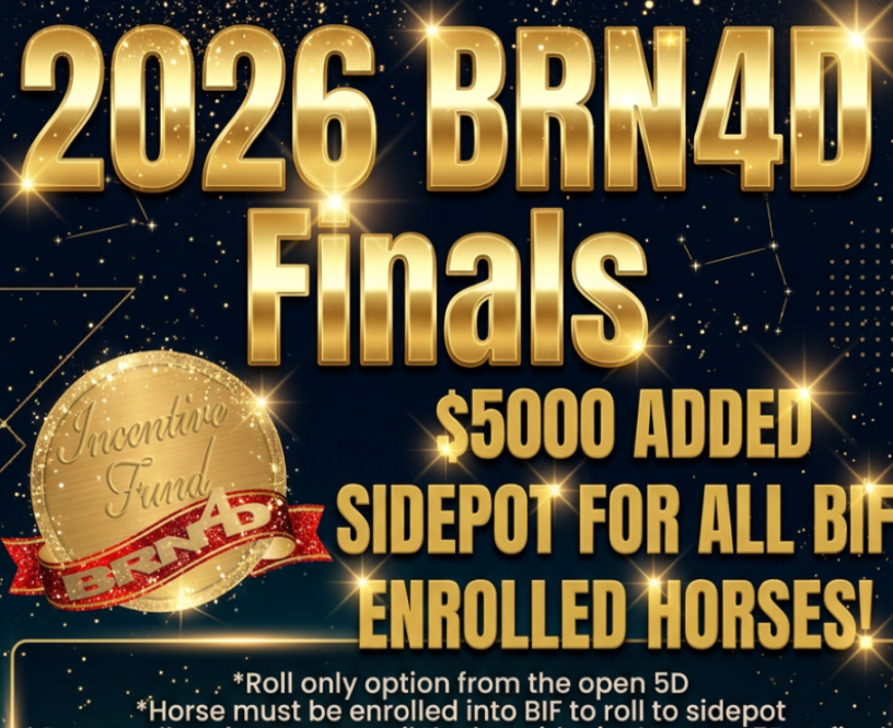 BRN4D Finals