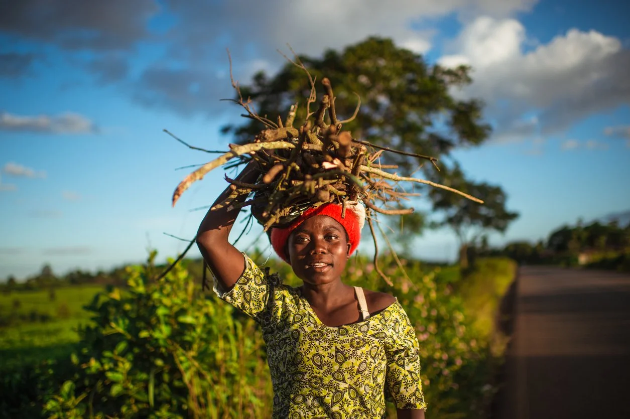 Young woman carrying a bundle of sticks on her head, standing outdoors on a rural road with greenery and trees in the background during daytime.