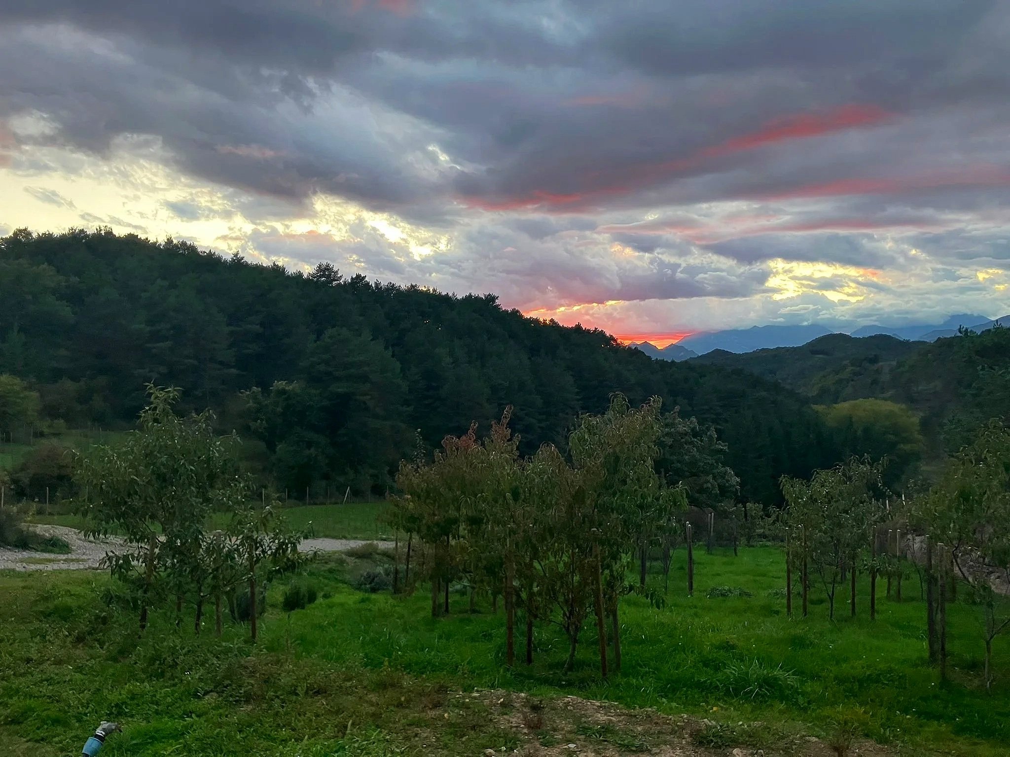 Paisaje rural con árboles y colinas verdes, cielo nublado con tonos rosados y anaranjados del atardecer.