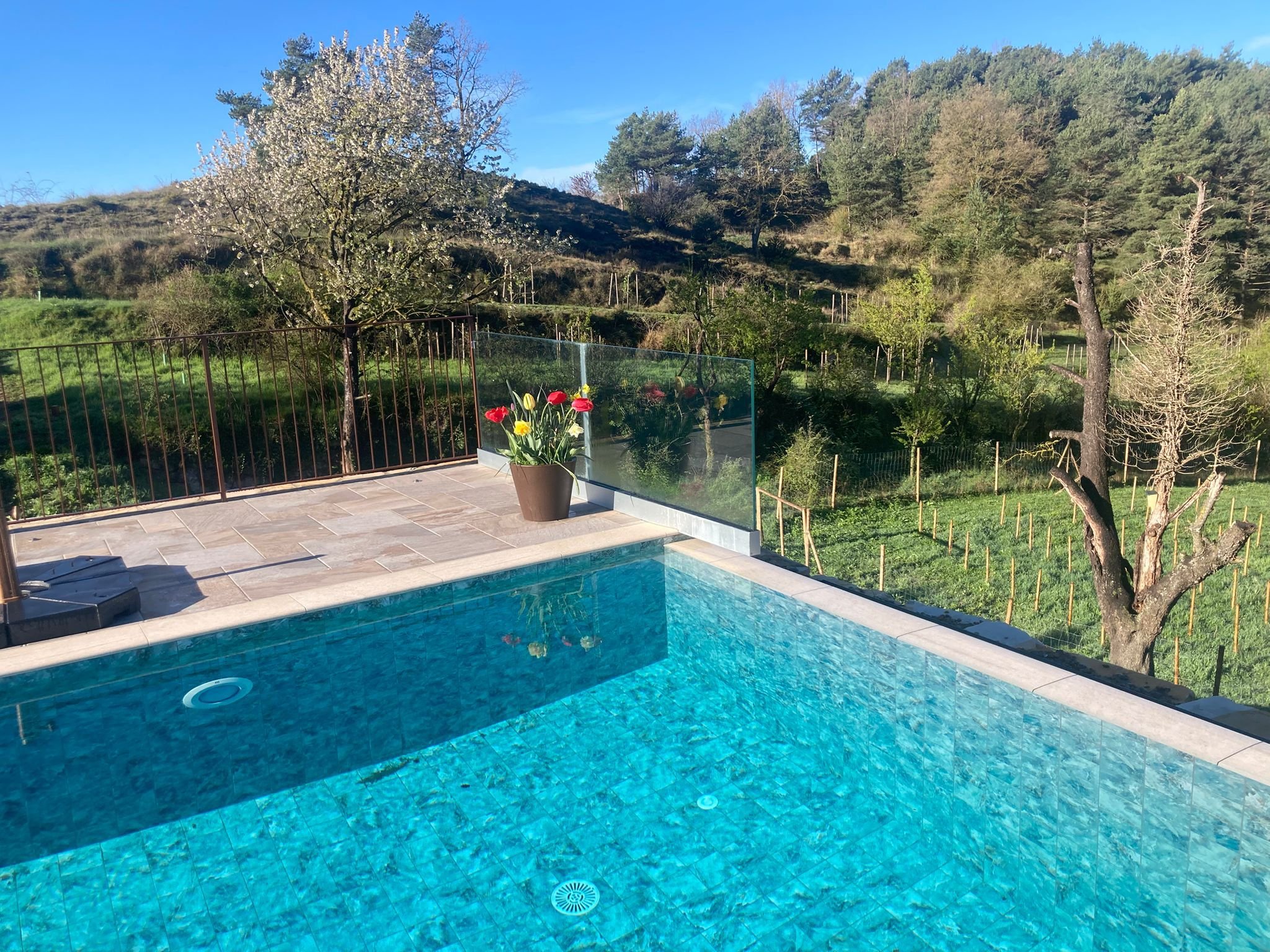 Piscina con vista a un paisaje rural con árboles y colinas en un día soleado.