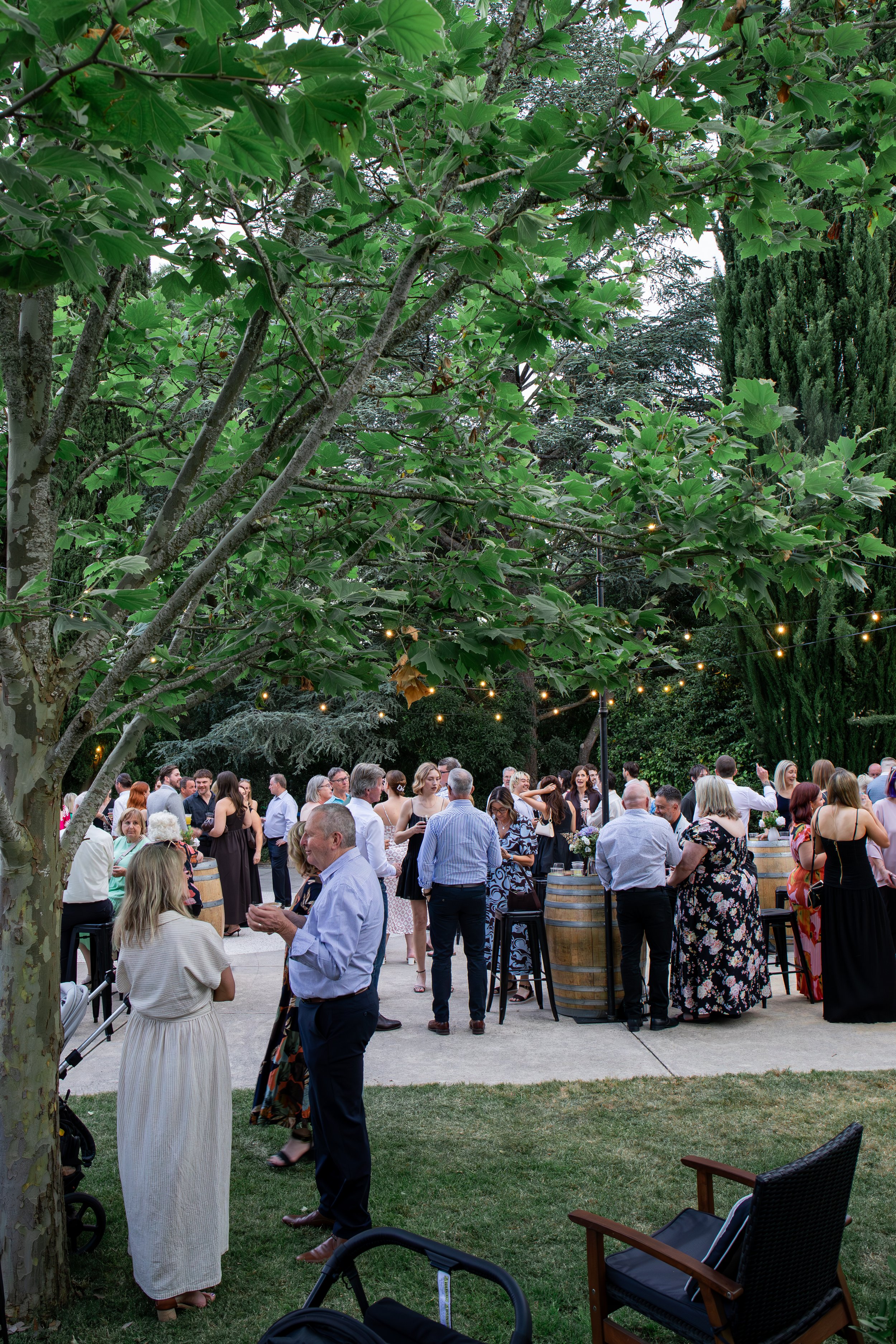 People gather outdoors in a garden for a social event, under string lights and surrounded by tall trees.