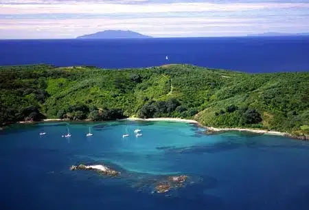 Tiritiri-Matangi-Island.webp