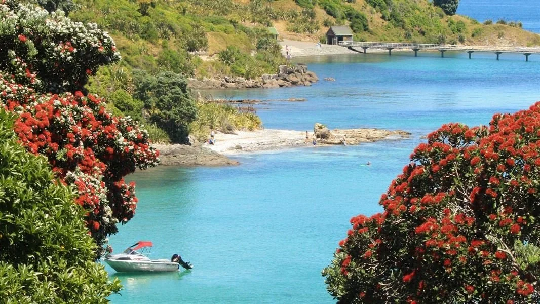 Día de Playa en Isla Tiritiri Matangi