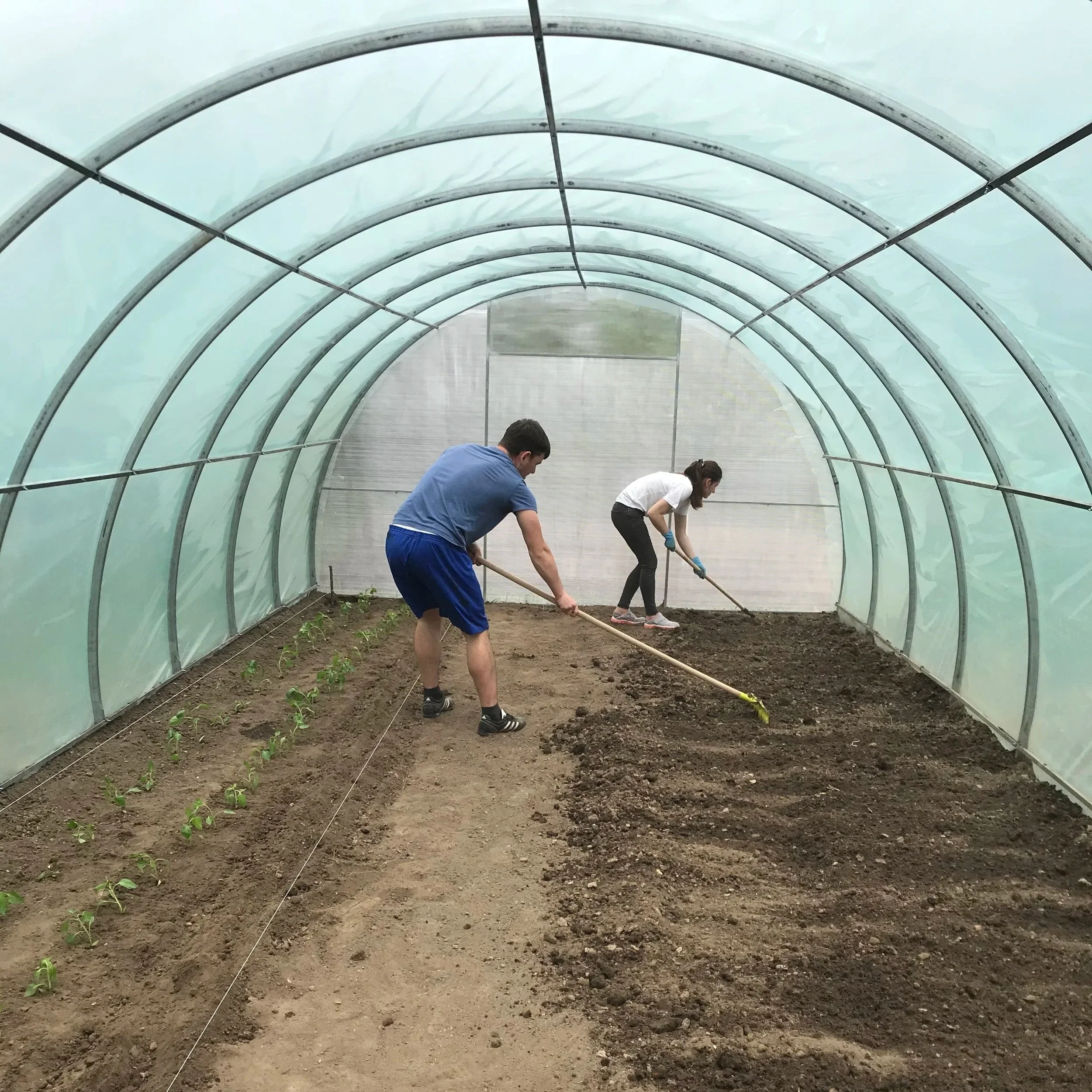 Project One | Orphans Future Greenhouse