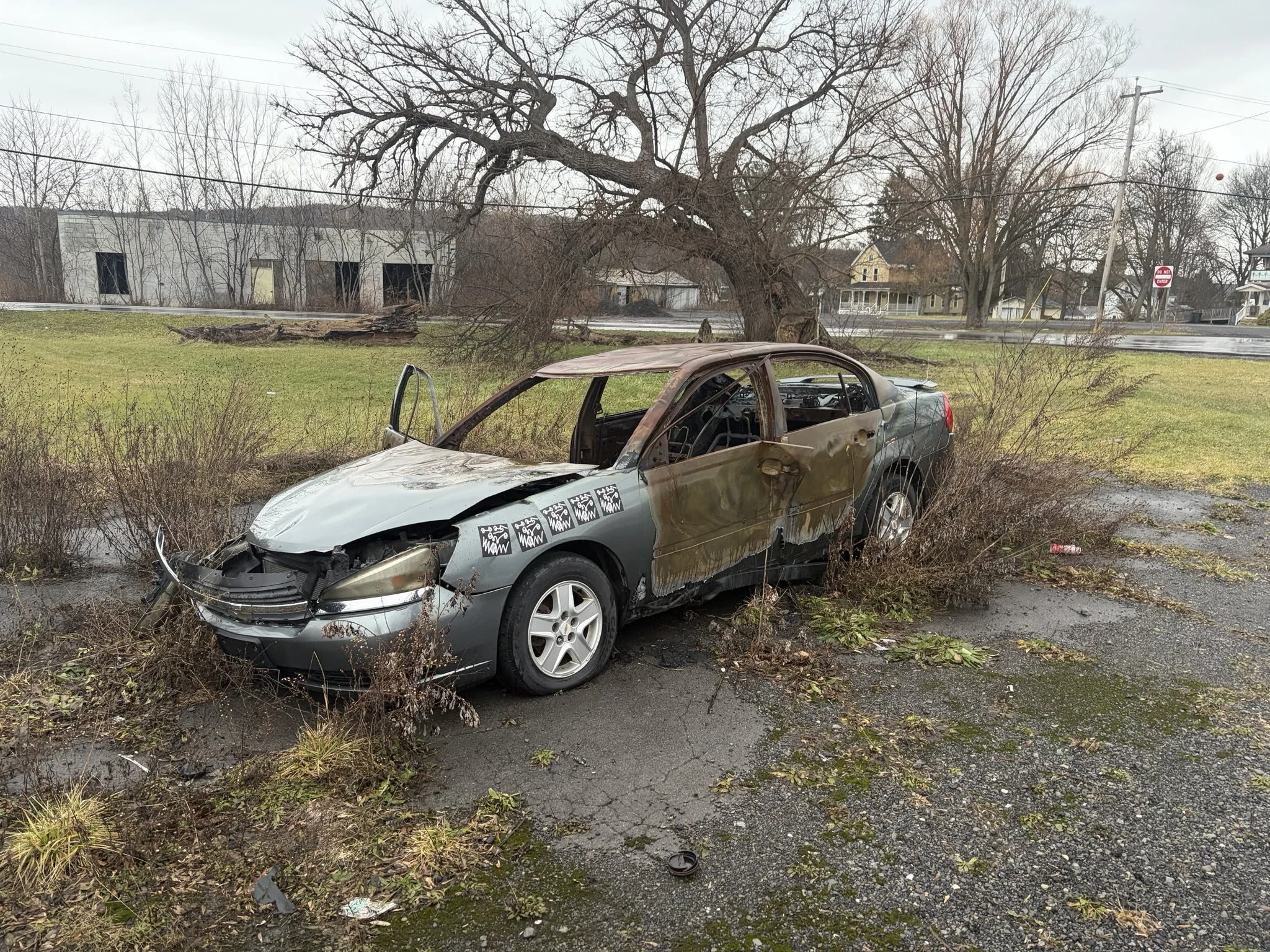 A severely damaged, burnt-out car on the side of a road with a fallen tree in the background. The car's front is crushed, and the interior is charred.