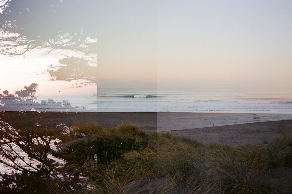 Cypress tree on a Tuesday morning 2023.jpg