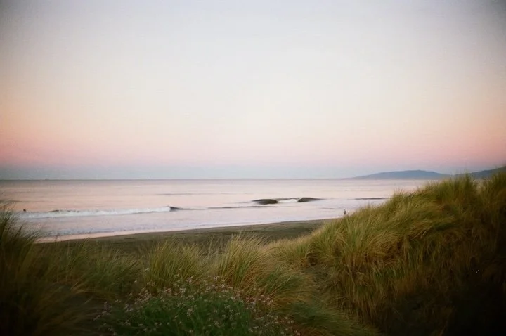 A garden of peaks 2024.jpg