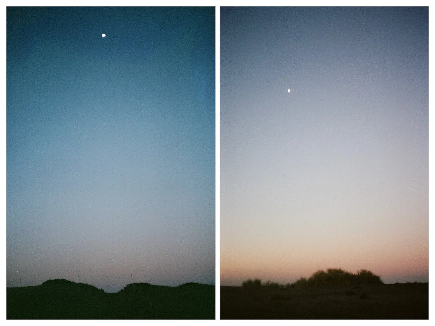 Path over the dunes 2025.jpg