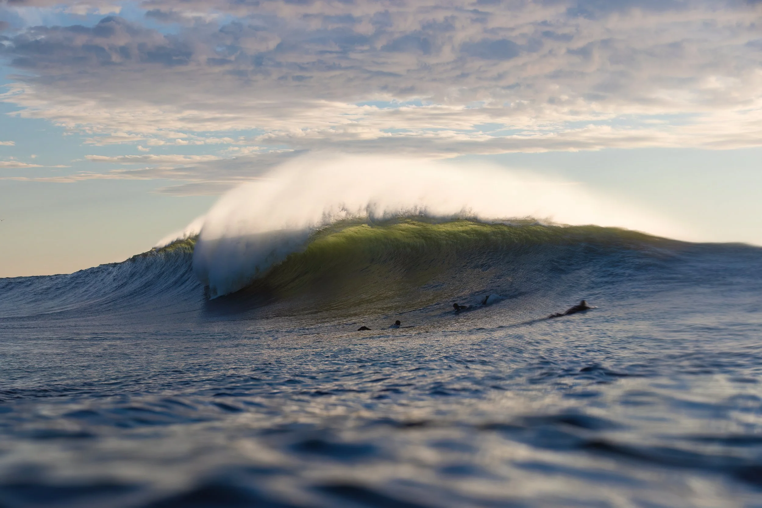 Sachi Cunningham Photo Book 2025_03.JPG