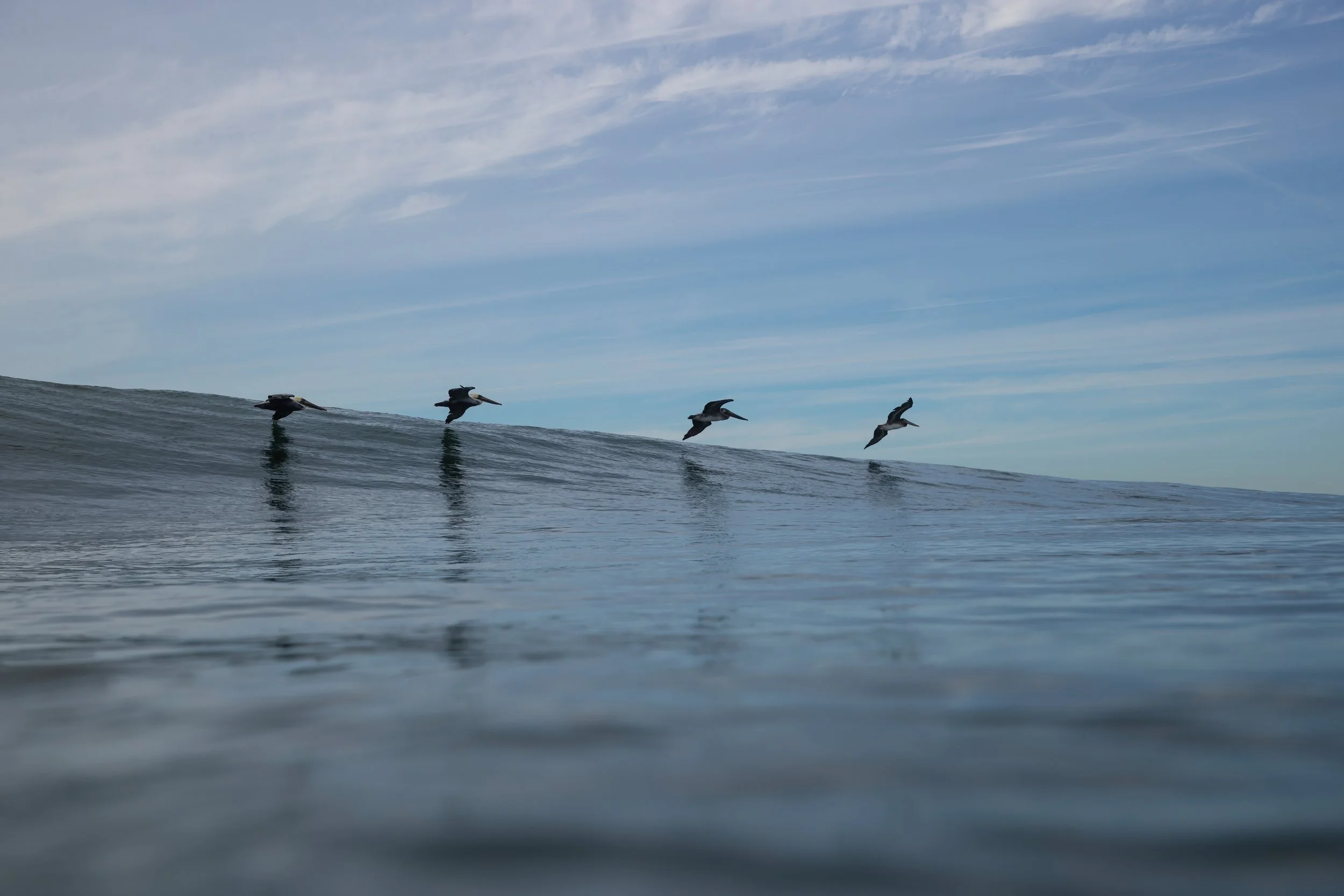 Sachi Cunningham Photo Book 2025_34.JPG