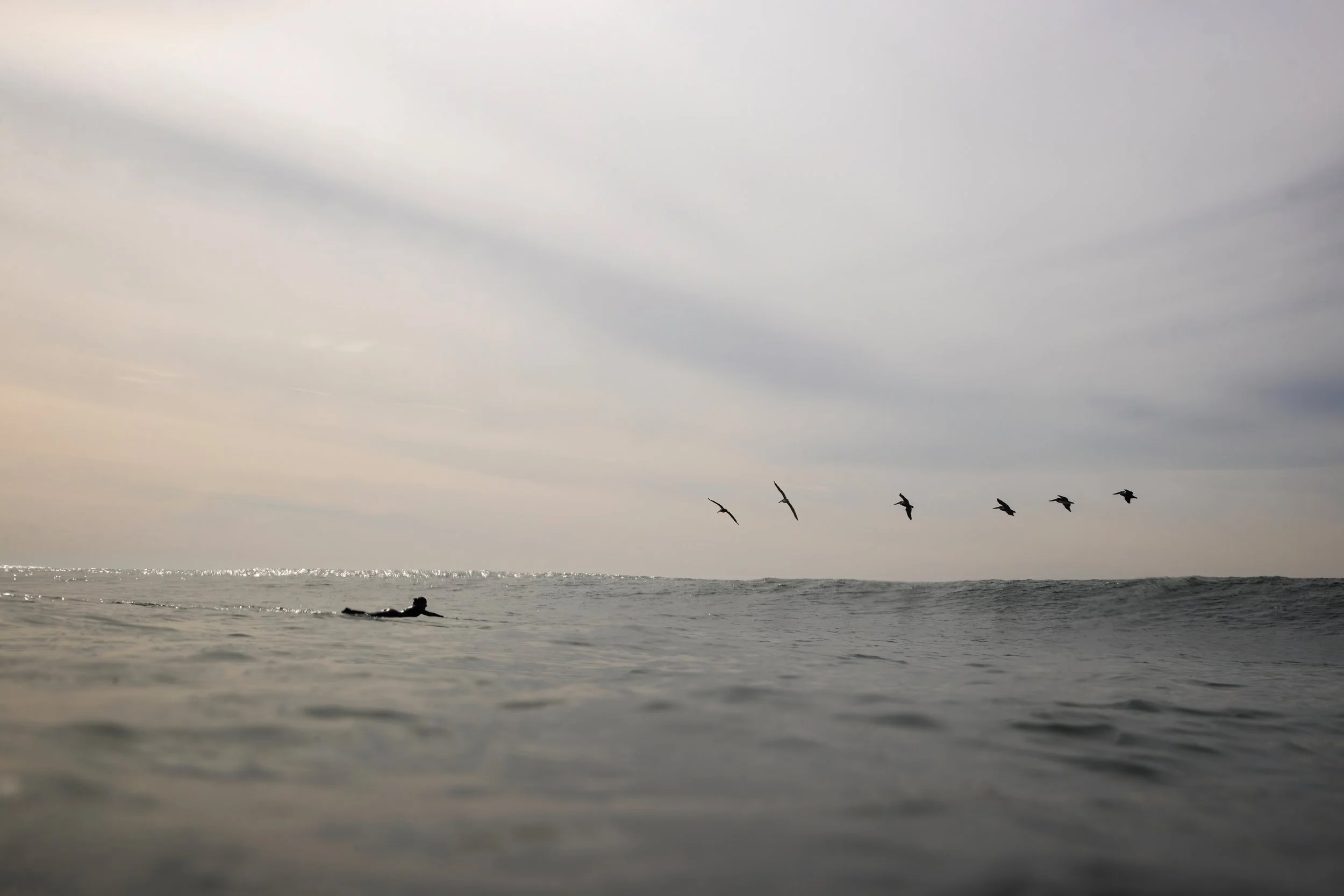 Sachi Cunningham Photo Book 2025_31.JPG