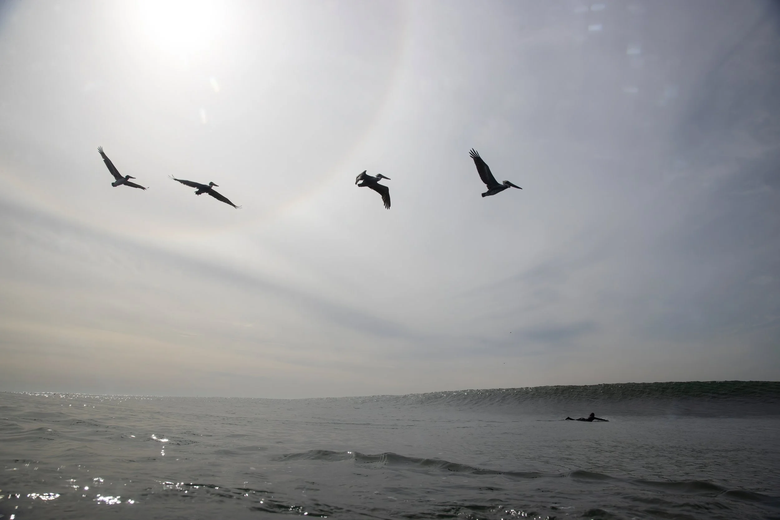 Sachi Cunningham Photo Book 2025_32.JPG