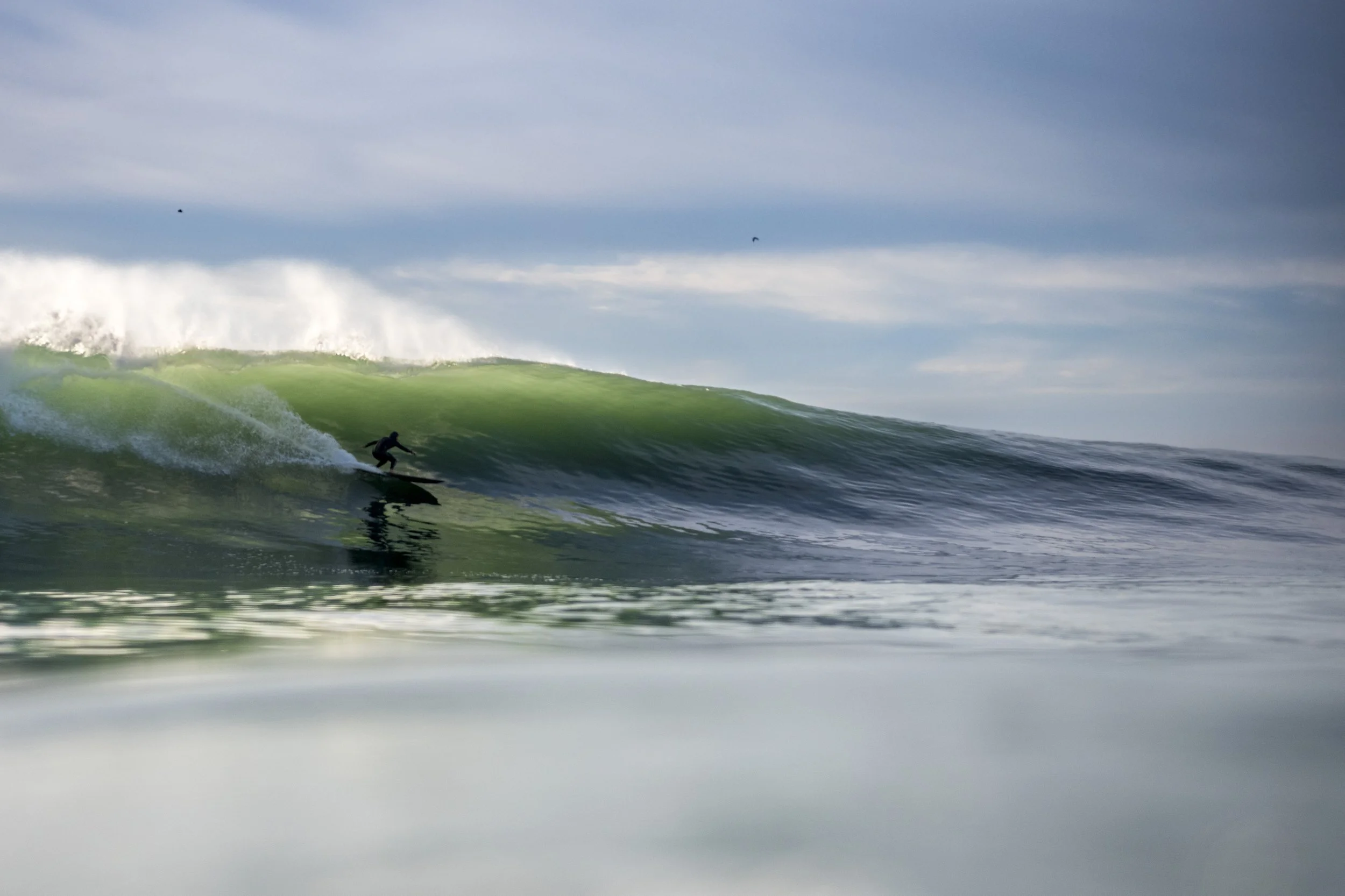 2024-11-09. Under Glass.jpg