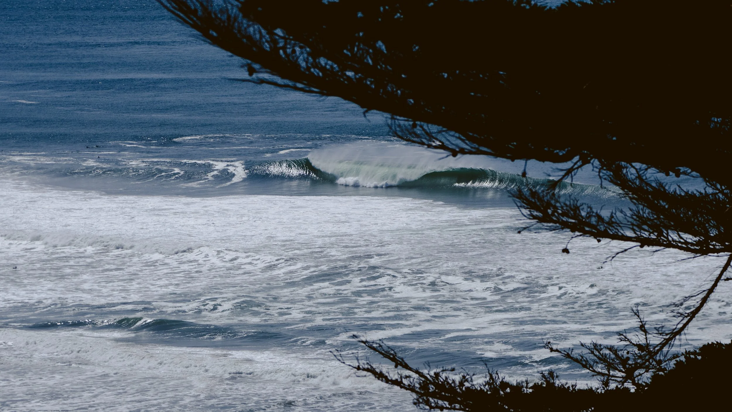 Photo Mar 25 2025, 12 41 09 PM.jpg