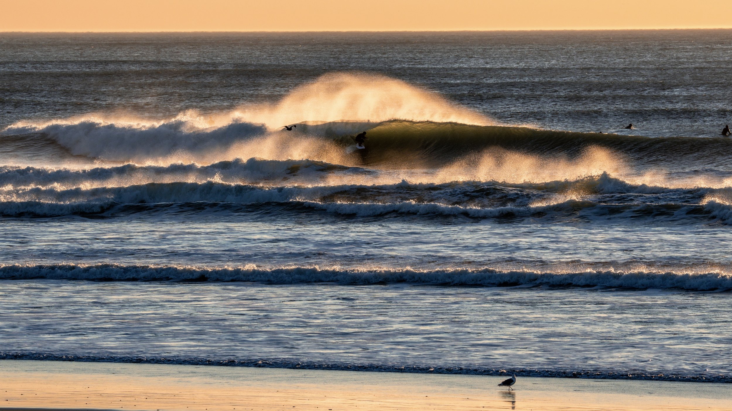 Photo Nov 06 2024, 4 35 48 PM.jpg