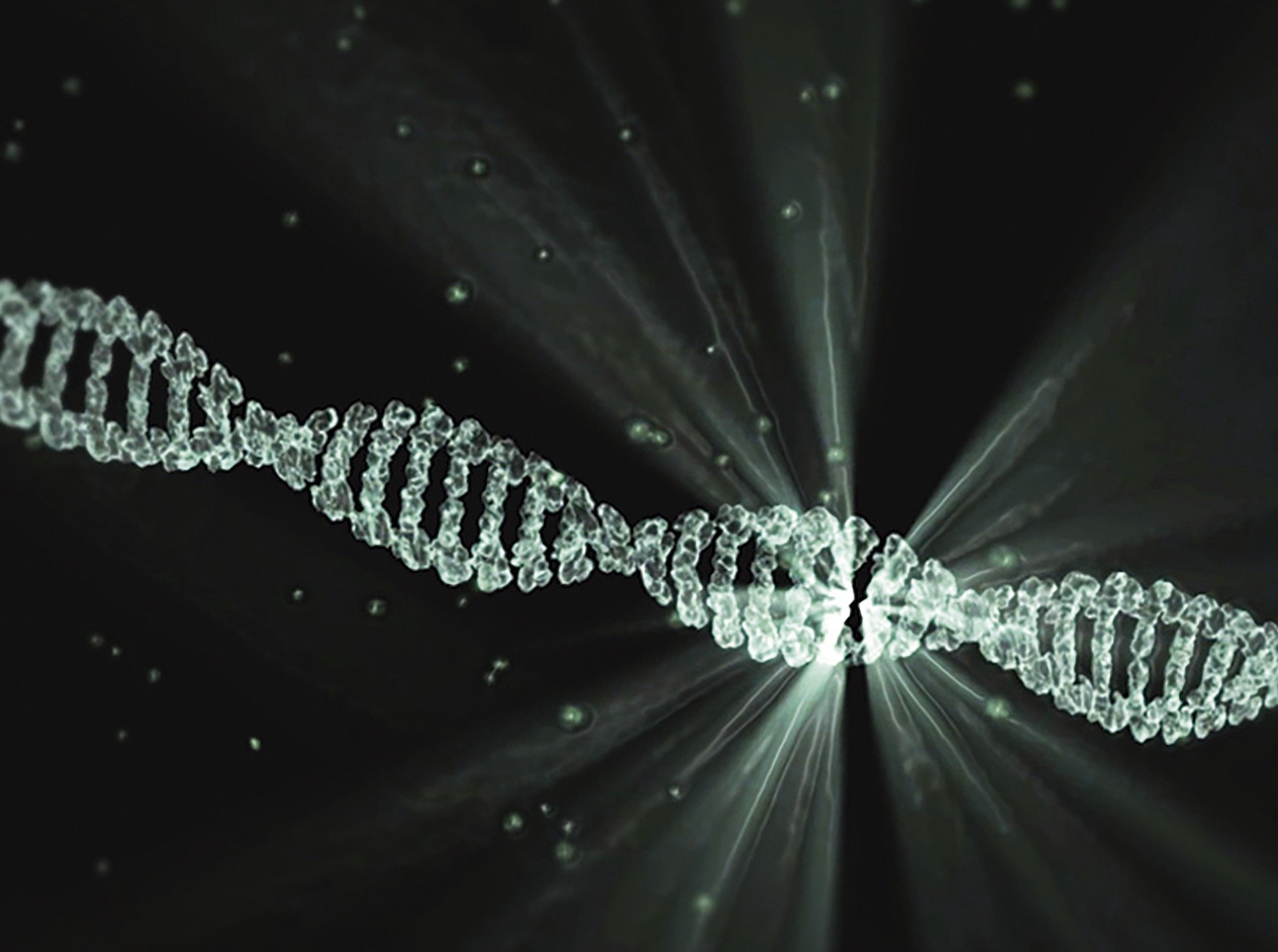 CRISPR: The Tool That Edits DNA