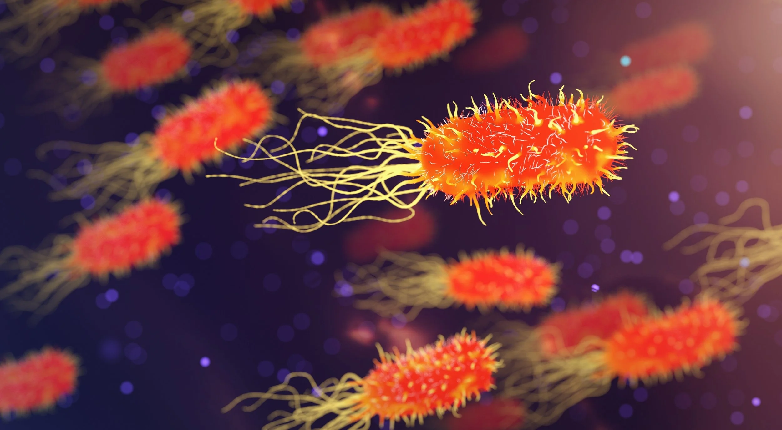 Bacteria That Fight Cancer