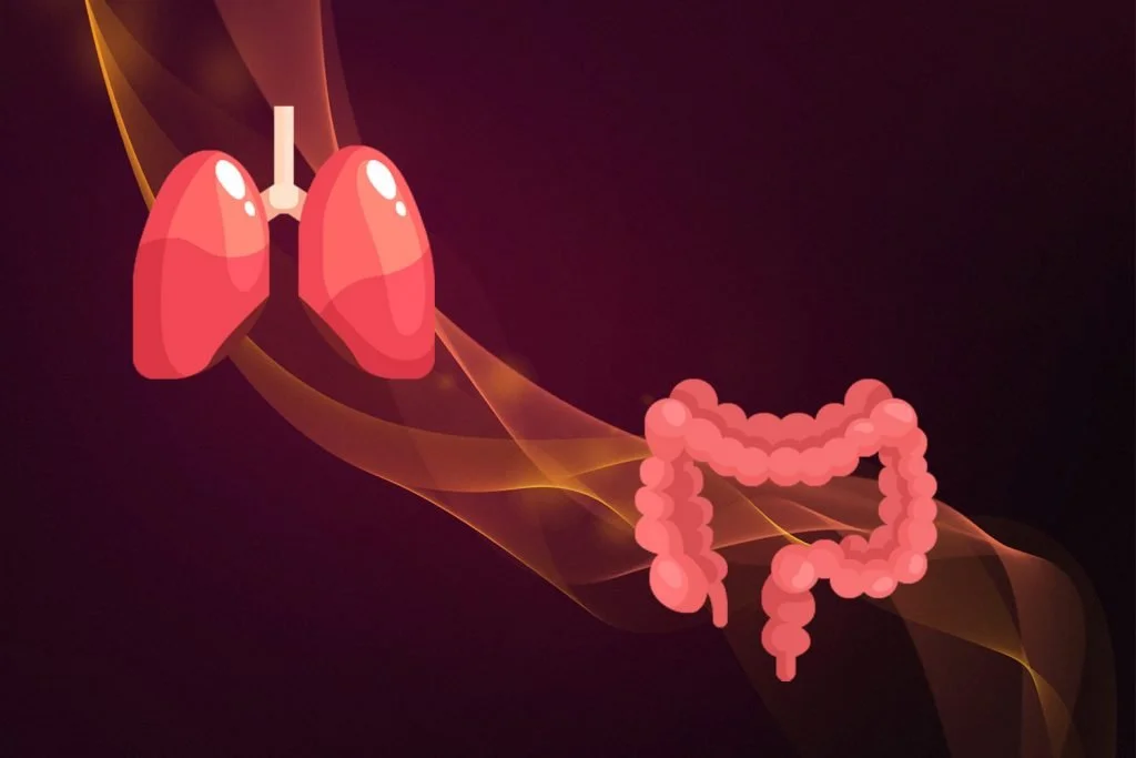 The Gut-Lung Axis: How Your Gut Talks to Your Lungs